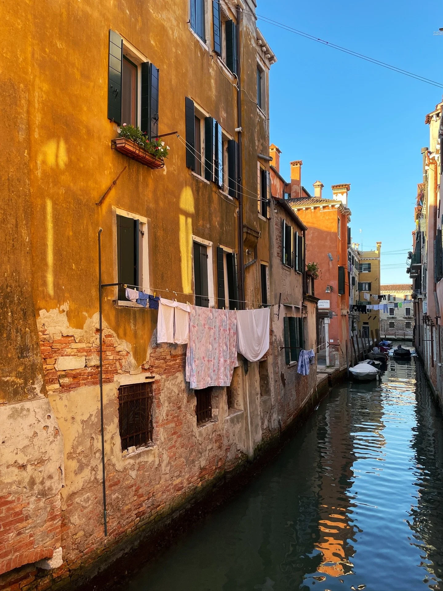 On recent travels, the colour followed me. Not quite gold, not quite ochre, it was always mustard. On boats, on crumbling walls, in the corners of quiet doorways. 
The same tone I chase on a plate, in turmeric, saffron, Dijon, aged cheeses, toasted