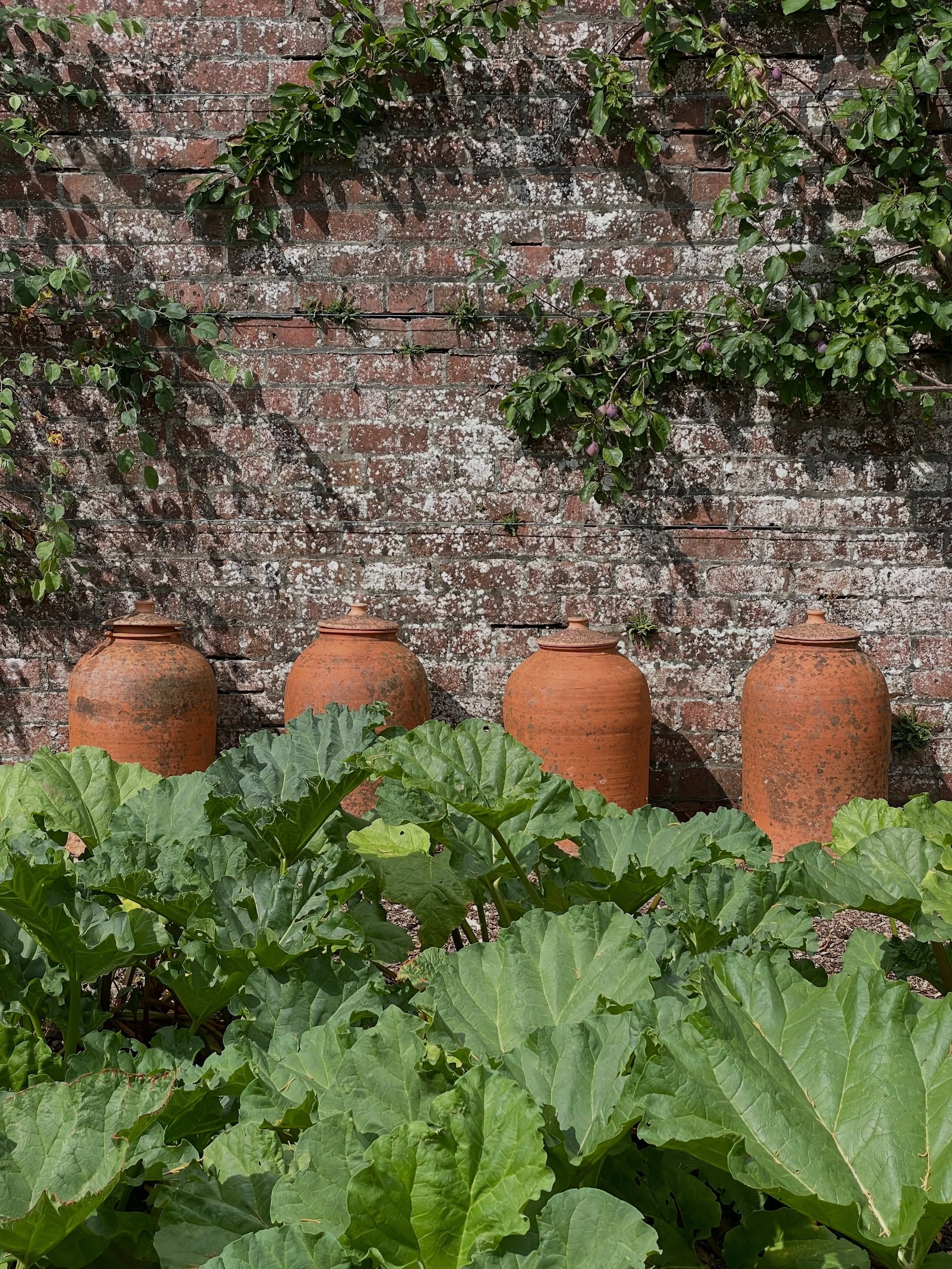 After a lovely evening catching up with friends and drinking champagne, today called for something a little slower. 🌿

A wander around Threave Gardens was exactly what I needed. As a photographer, I find so much joy in places like this. 

The walled