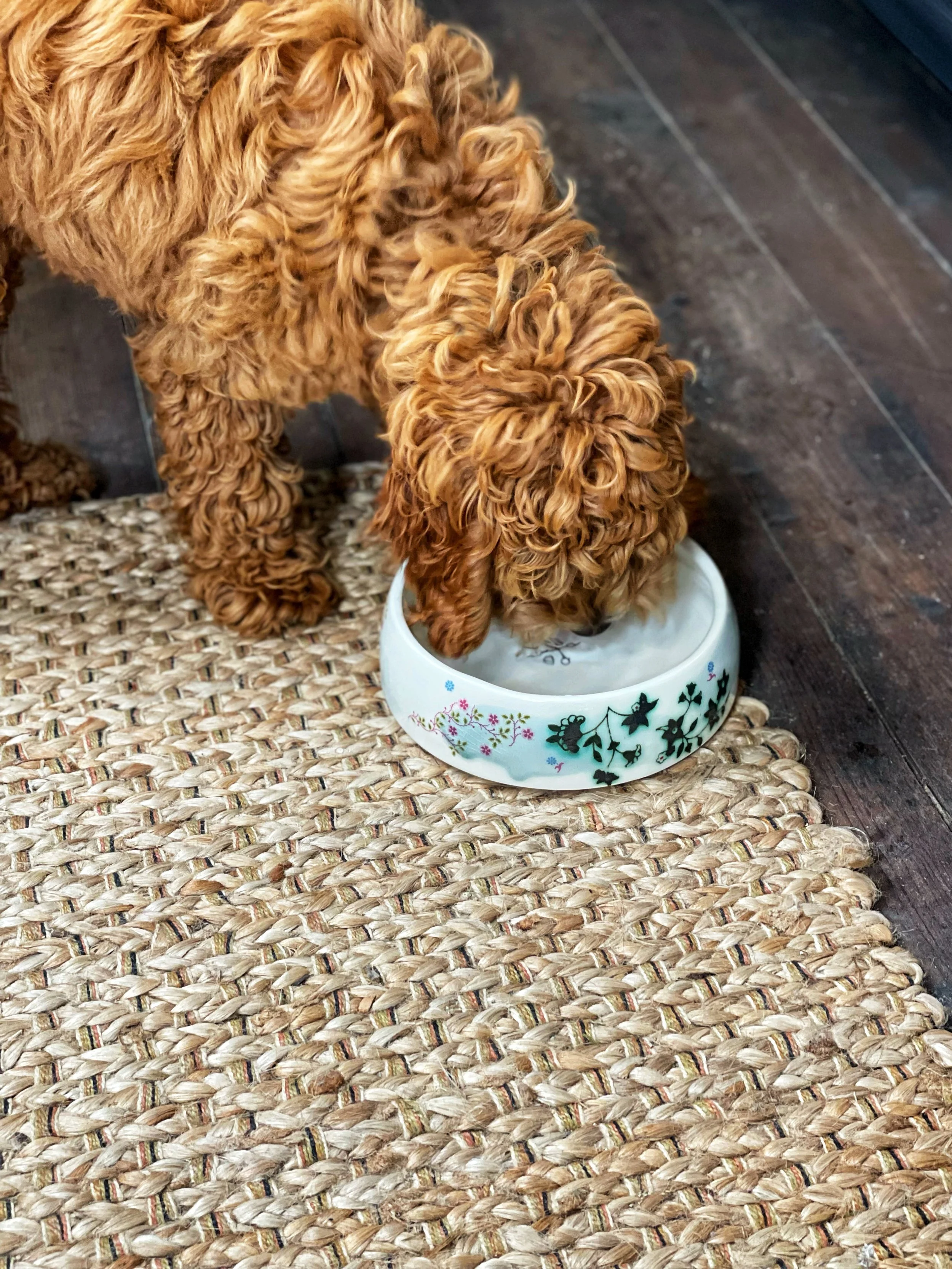 grays dog bowl lolliography.JPG