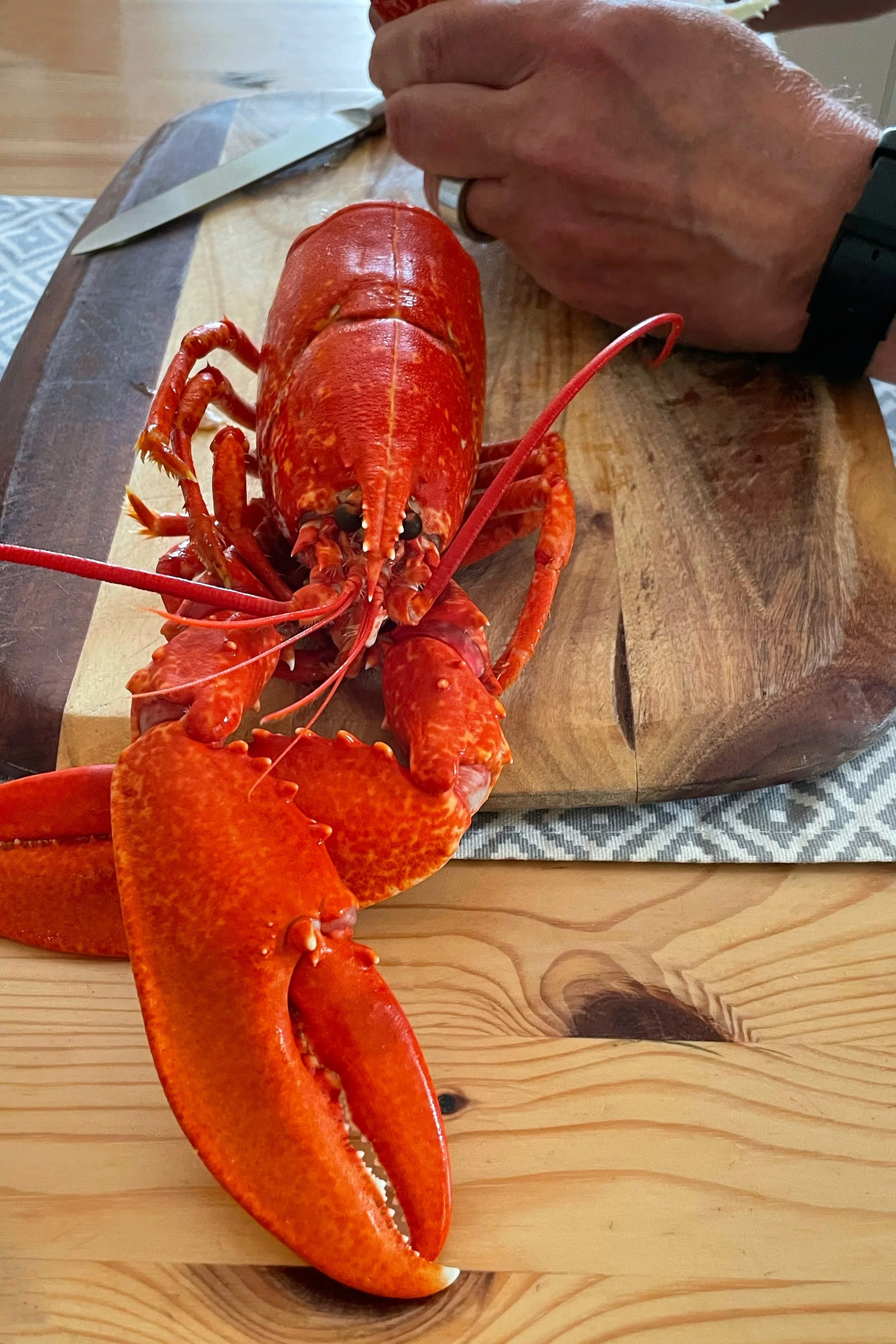 bens party lolliography.JPG