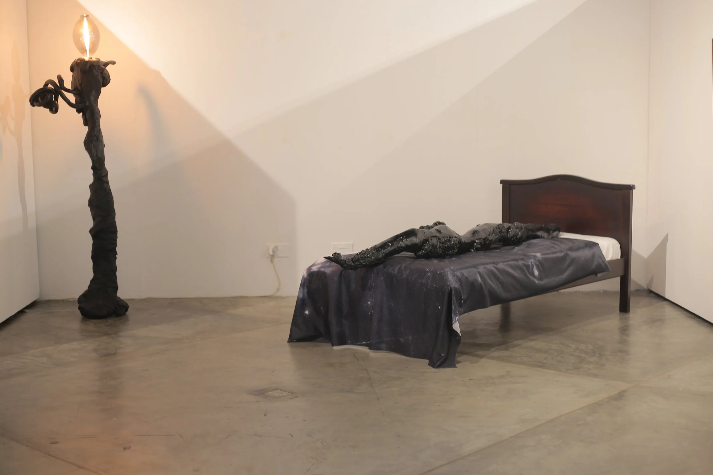Installation view.