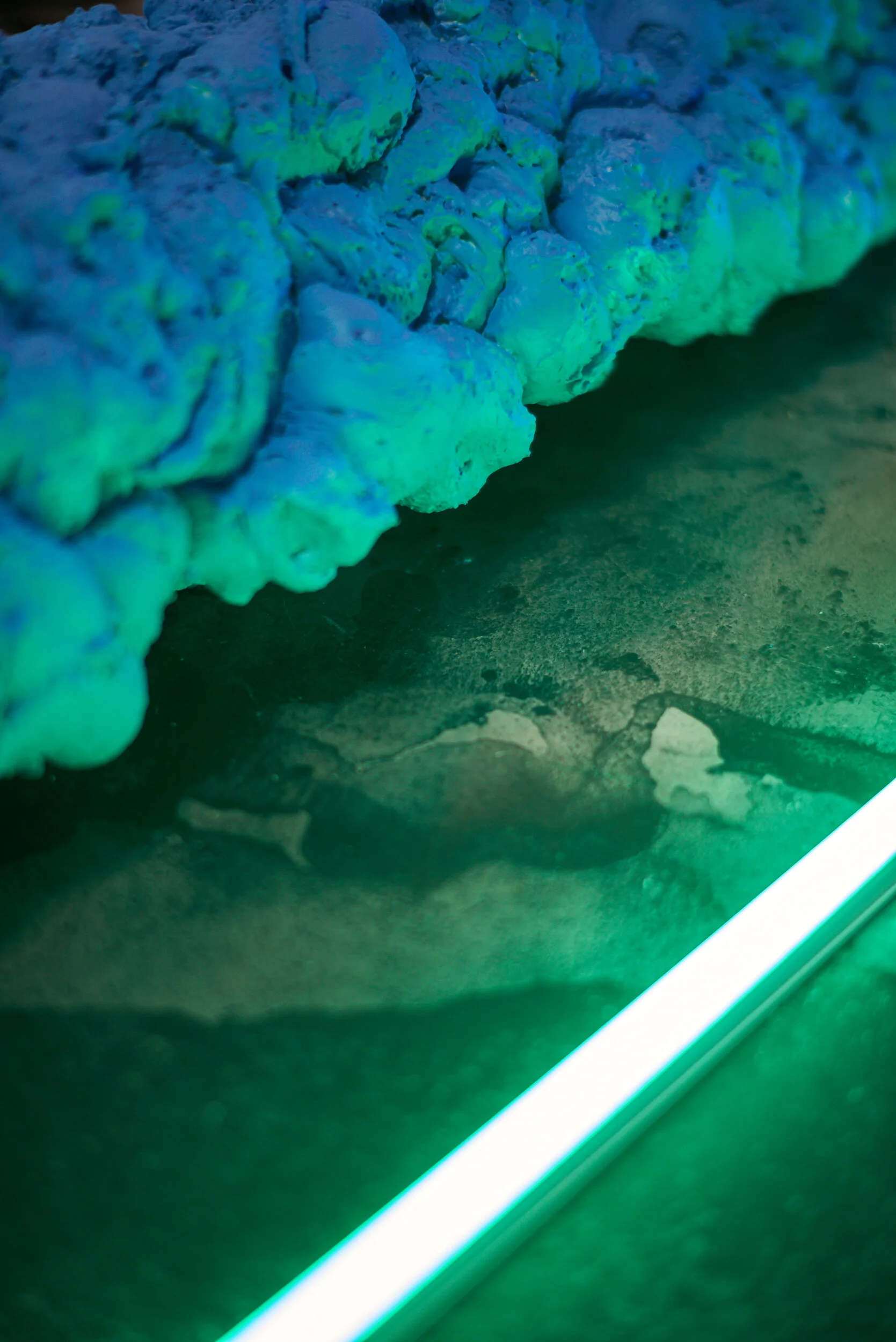 Installation view. Photo: Yeo Workshop