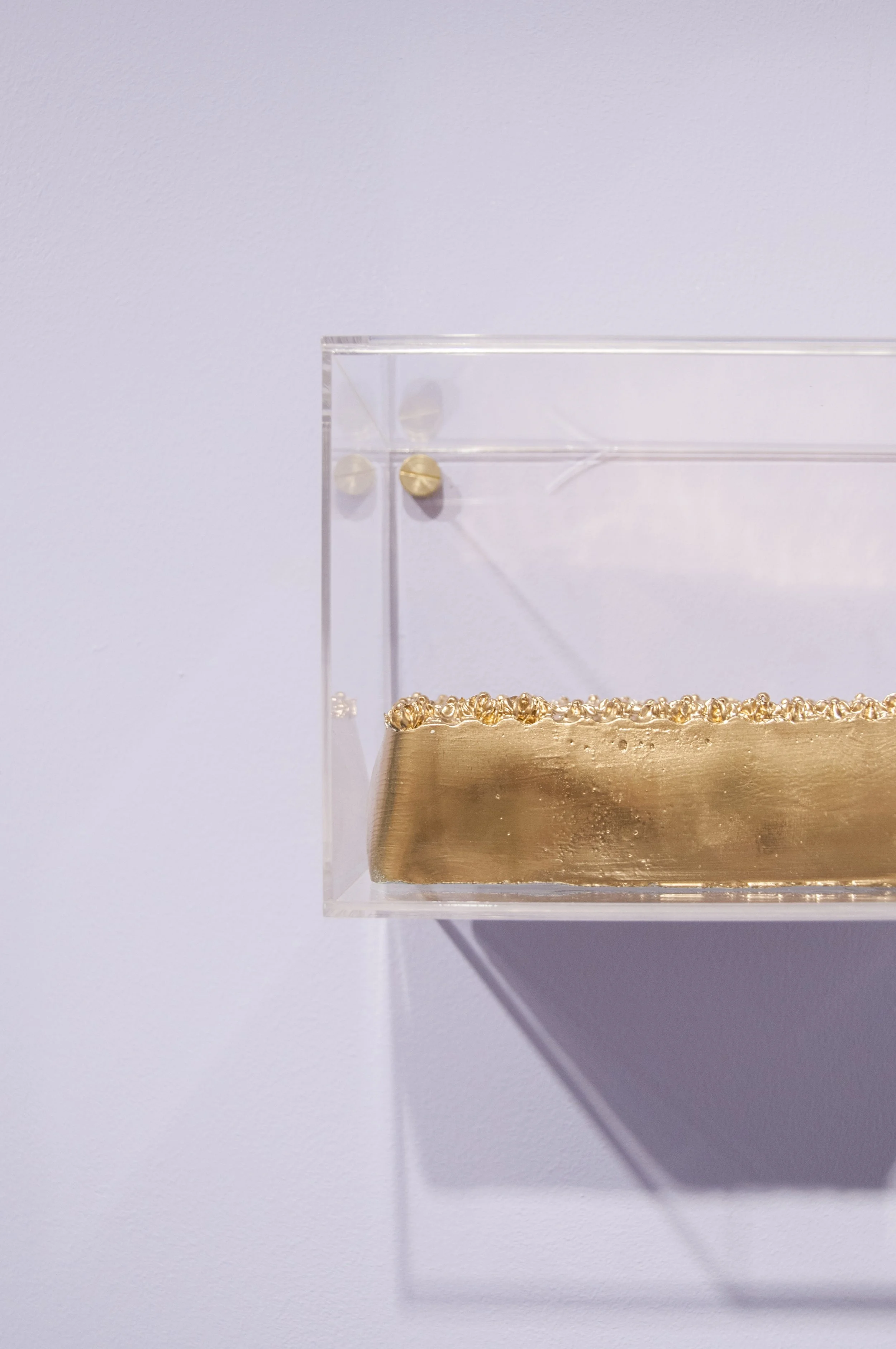 Golden Opportunity No.1
Photo: Arina Rubinskaya