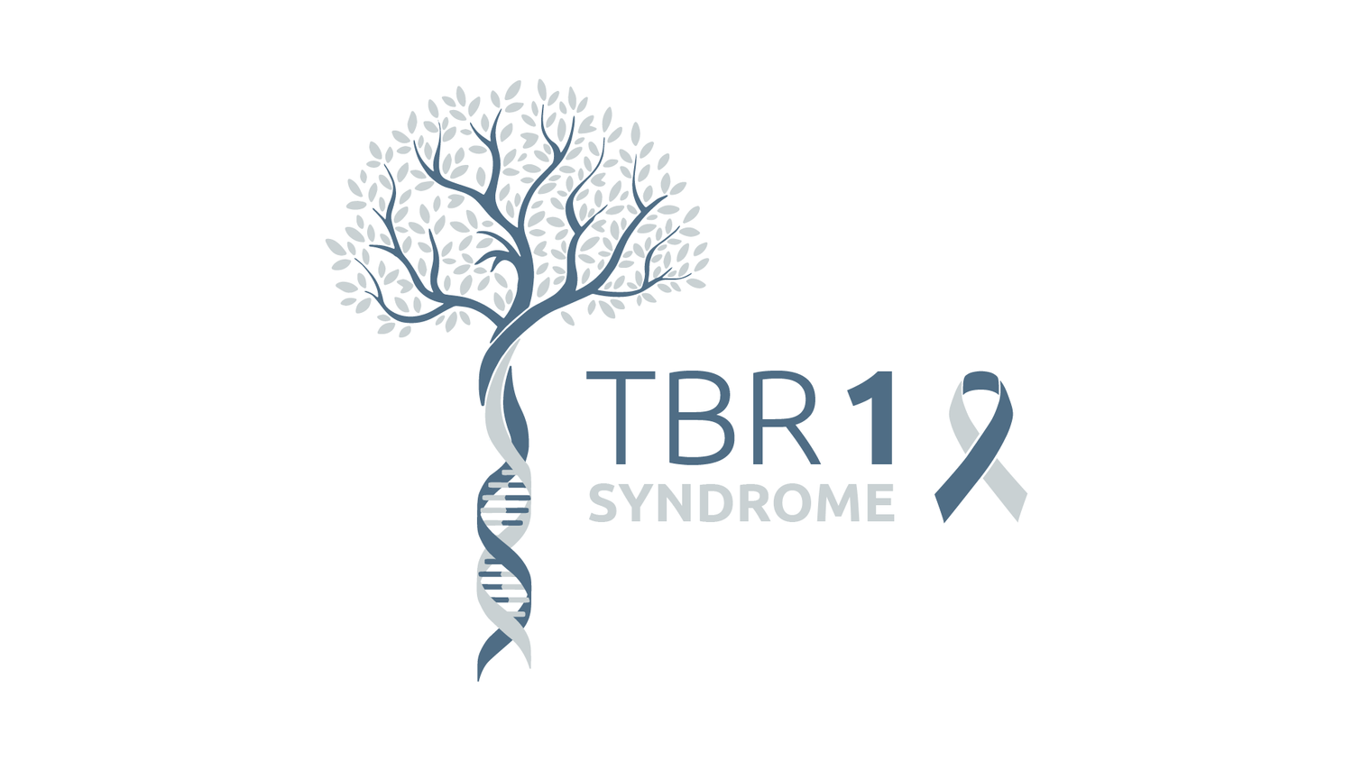 TBR1 syndrome