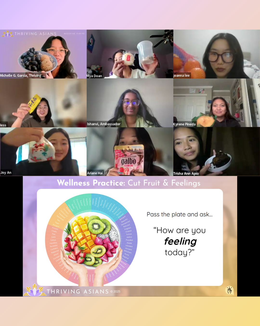   TA Youth Mental Health Leaders Session   Cut Fruit & Feelings Chat - 12/20/2025