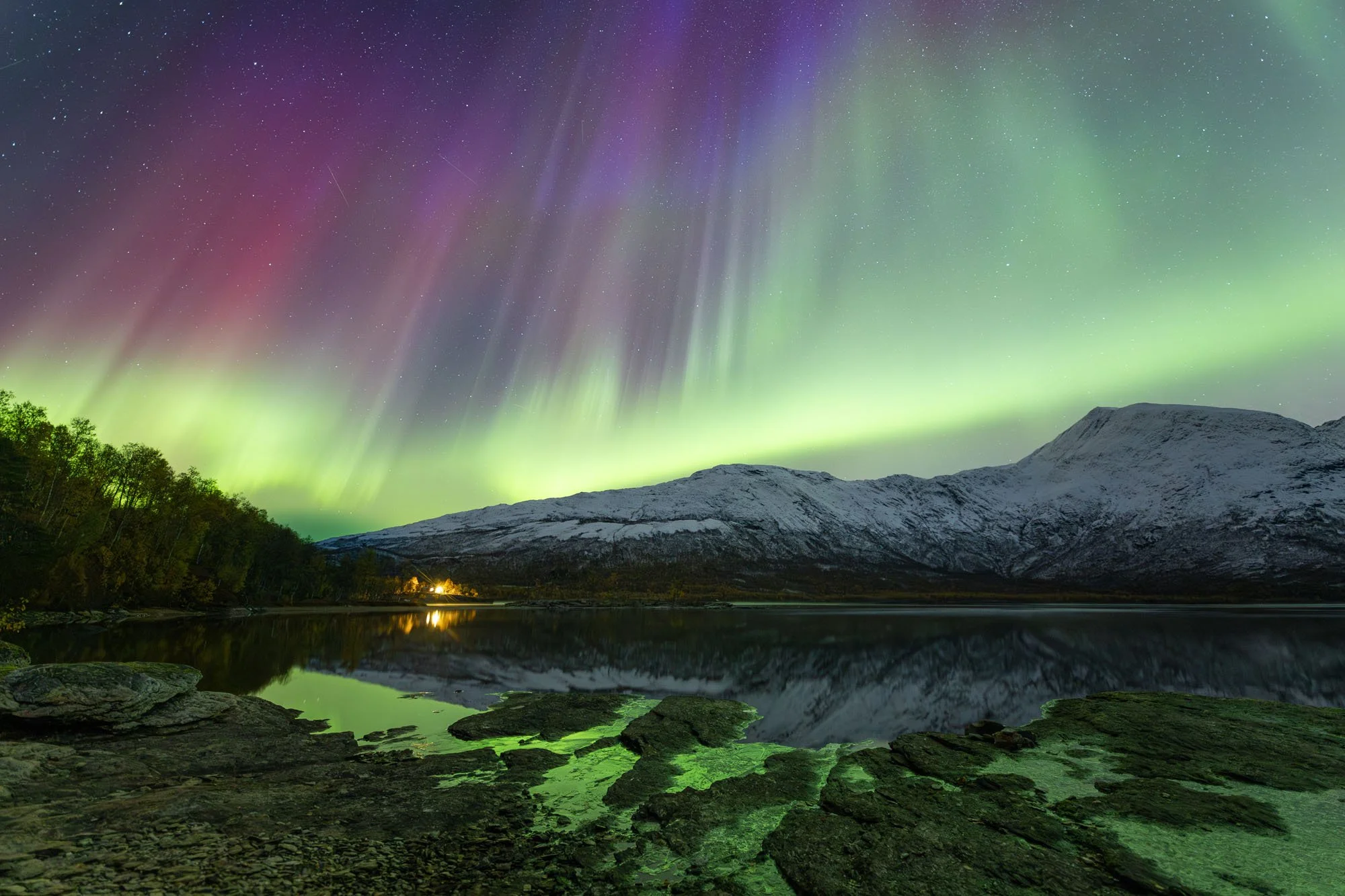 JJDW AURORA 16.jpg