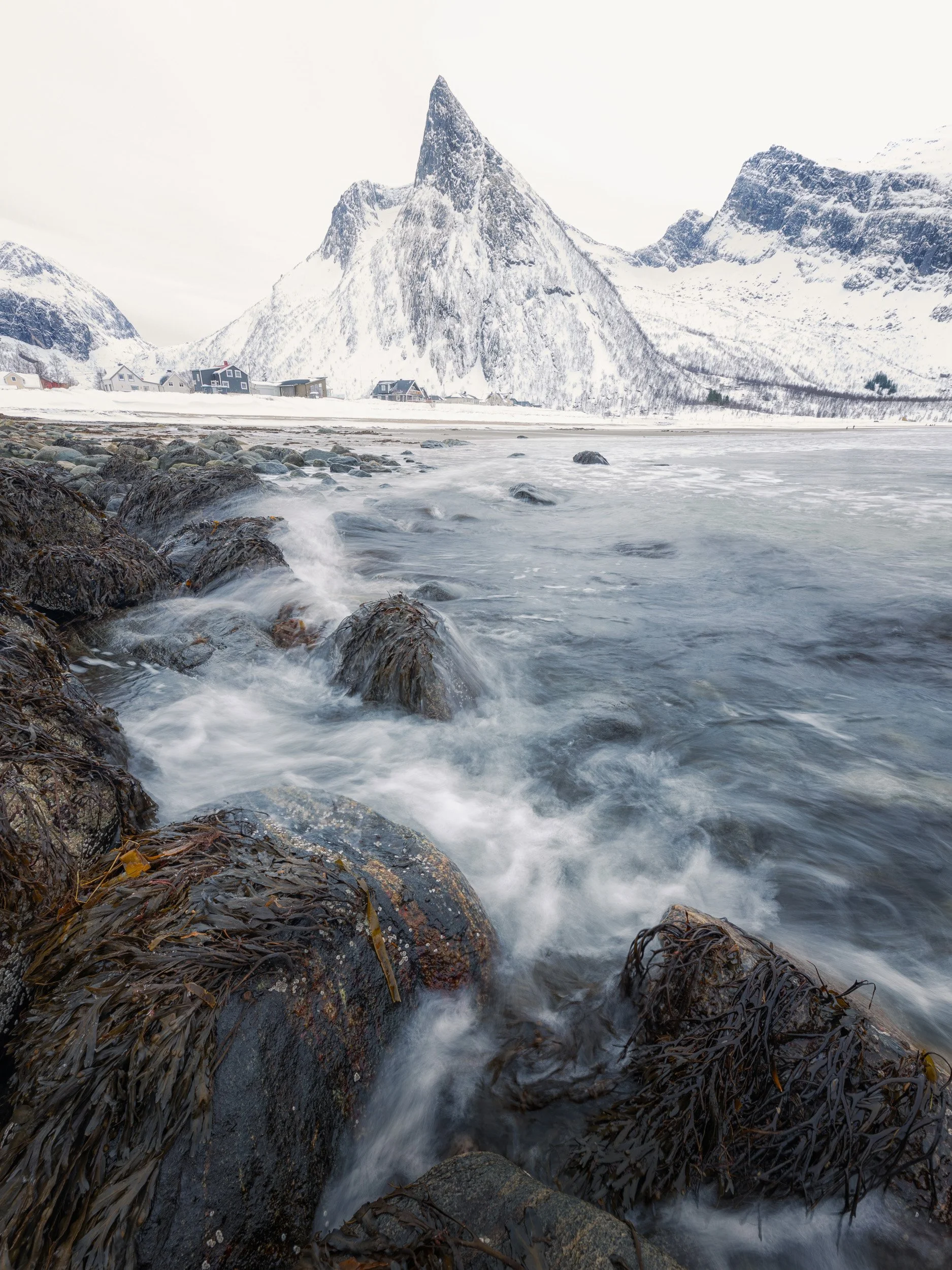 SENJA_JJDW_24.jpg