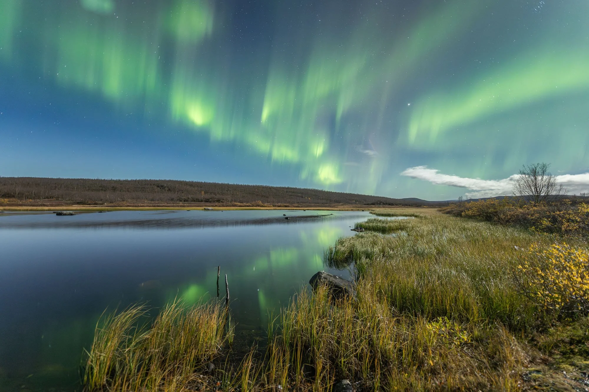 JJDW AURORA 10.jpg