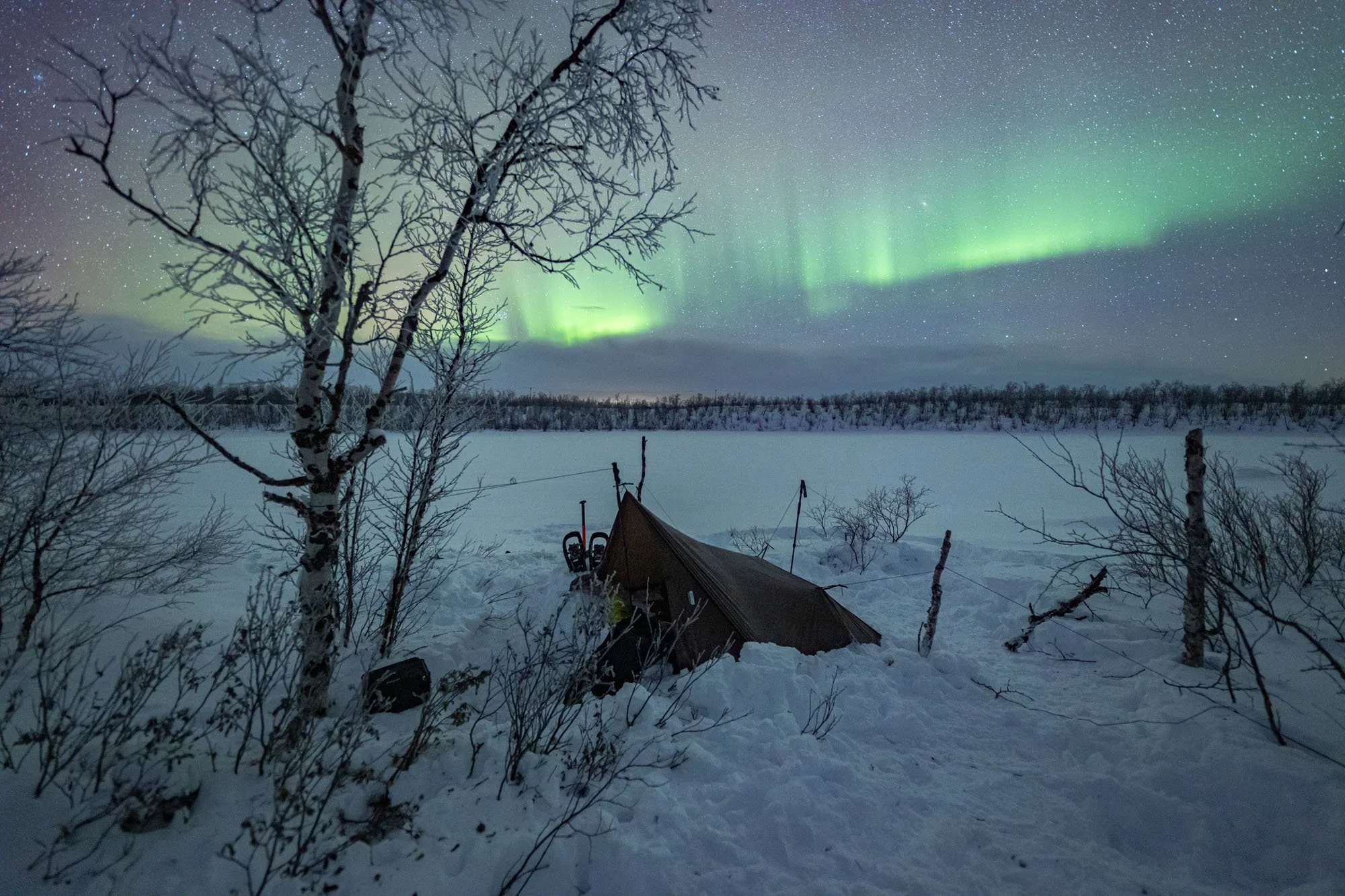 JJDW AURORA 6.jpg