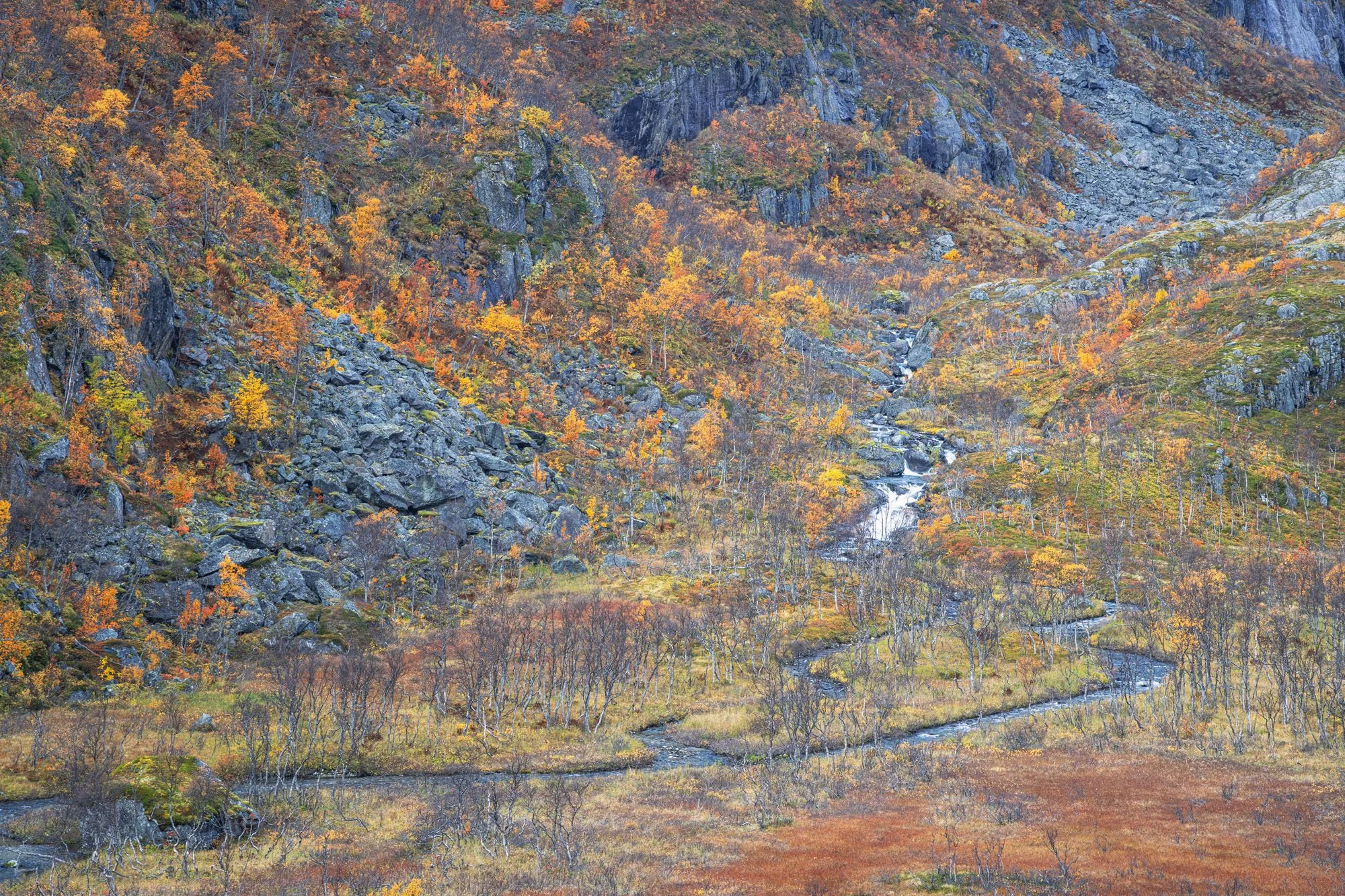 JJDW AUTUMN NORWAY 7.jpg