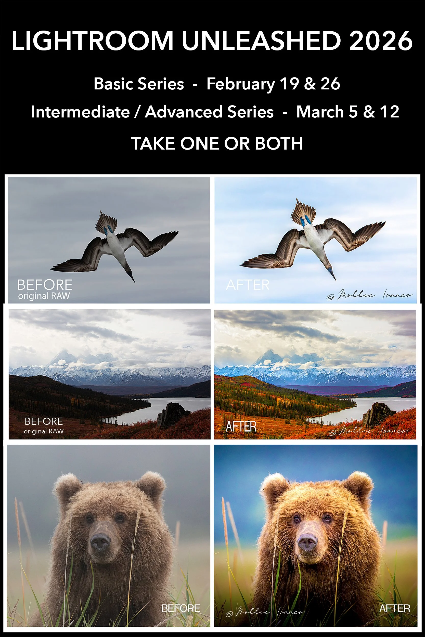 LR Unleashed 2026.jpg