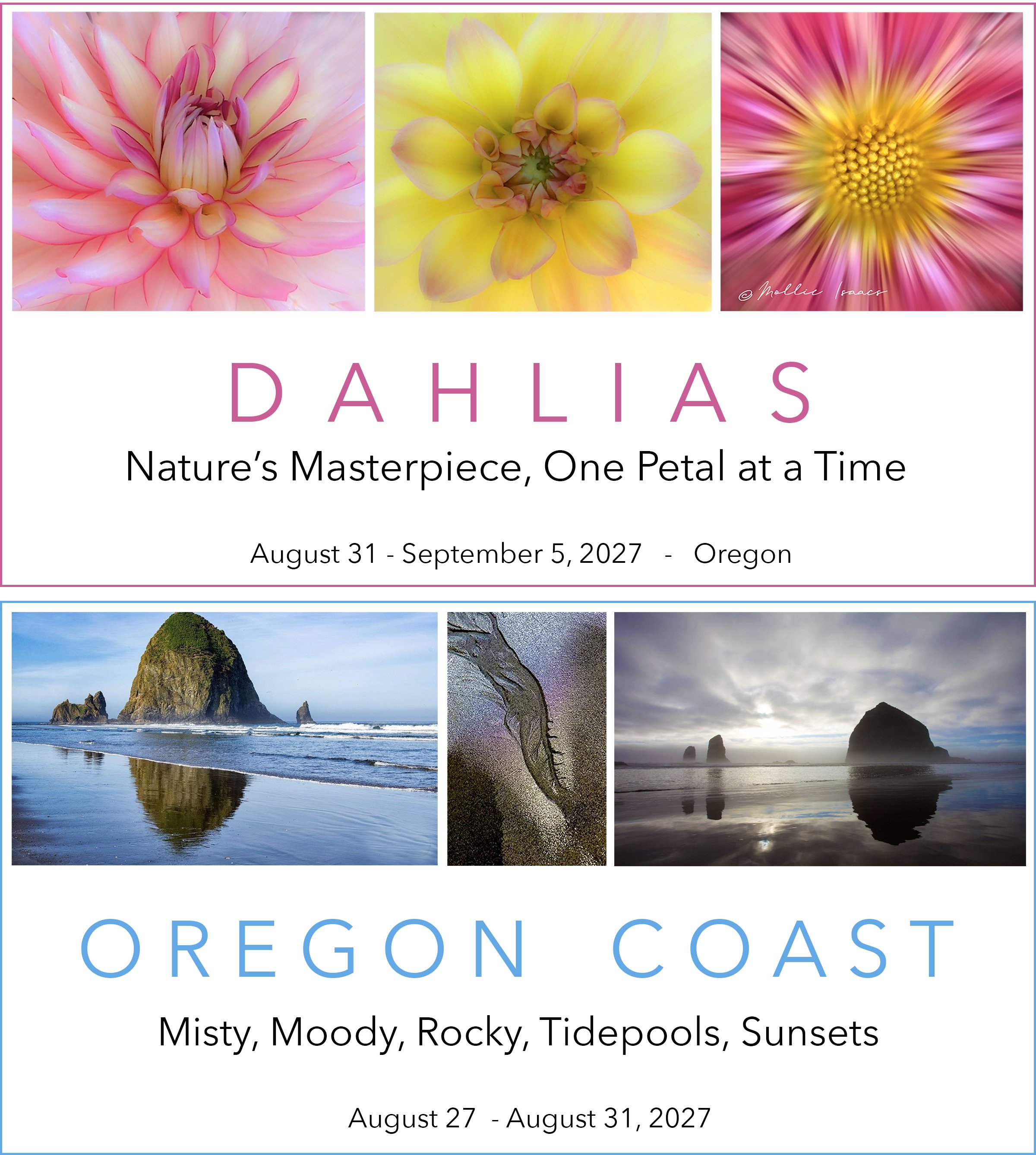 Dahlias & Oregon Coast combined.jpg