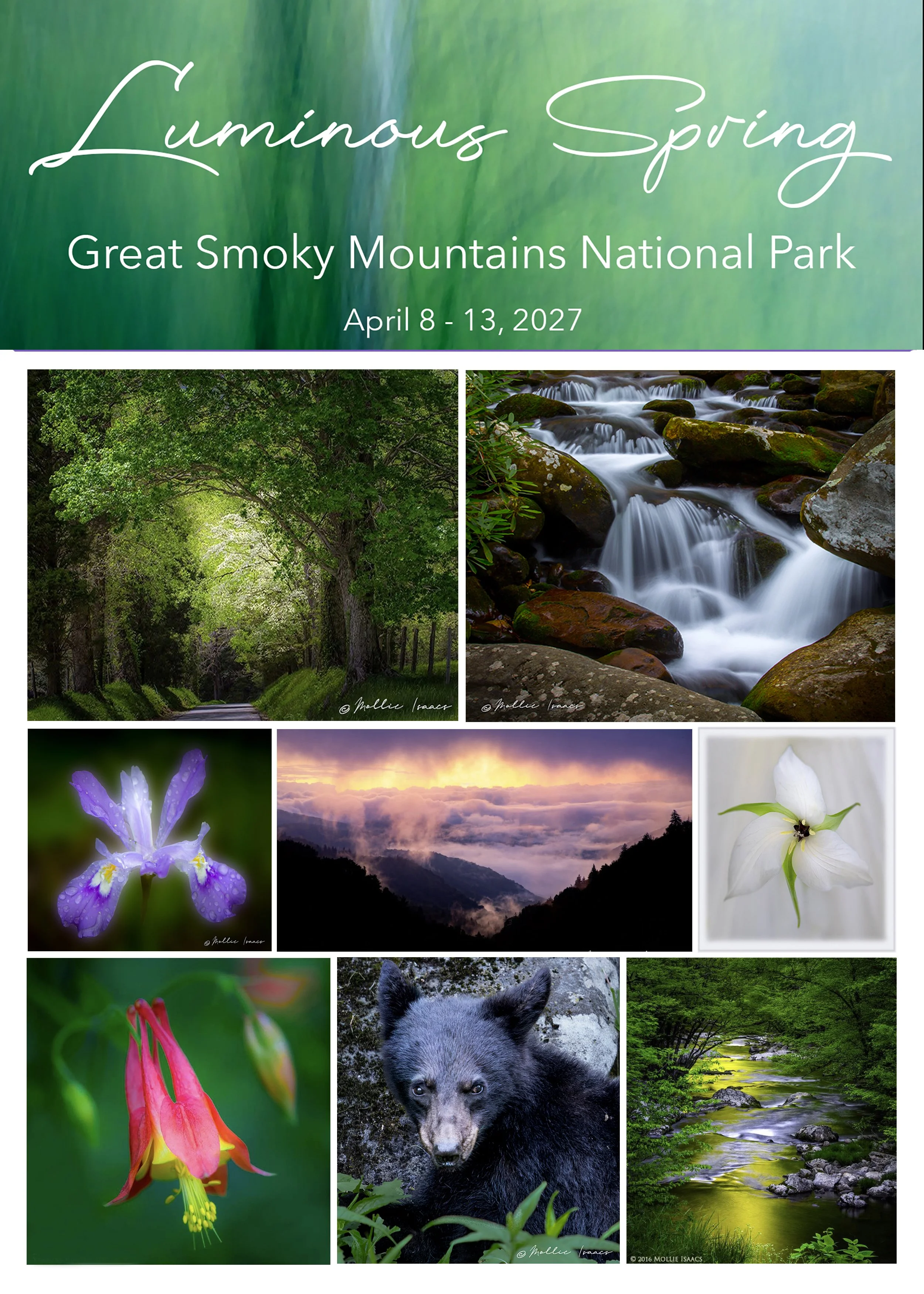 Smokies ad 2027 copy2.jpg