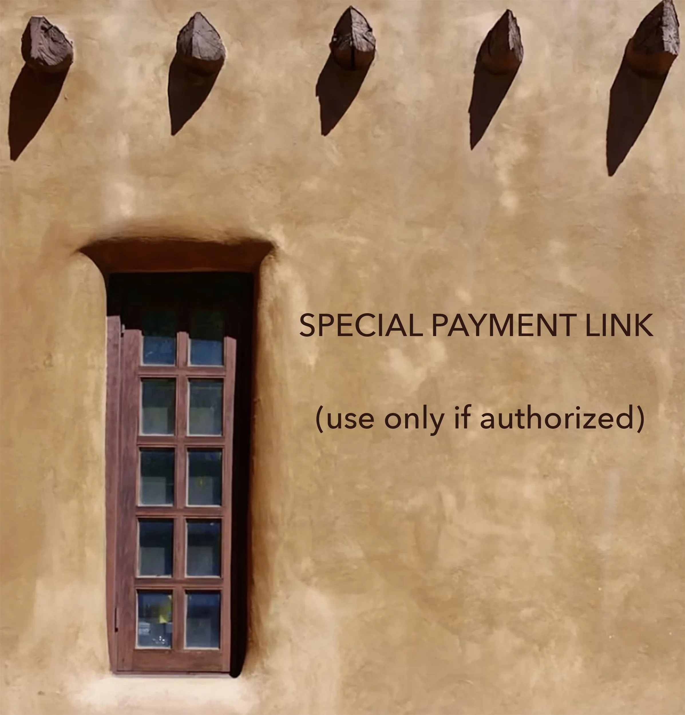 special NM payment link.jpg