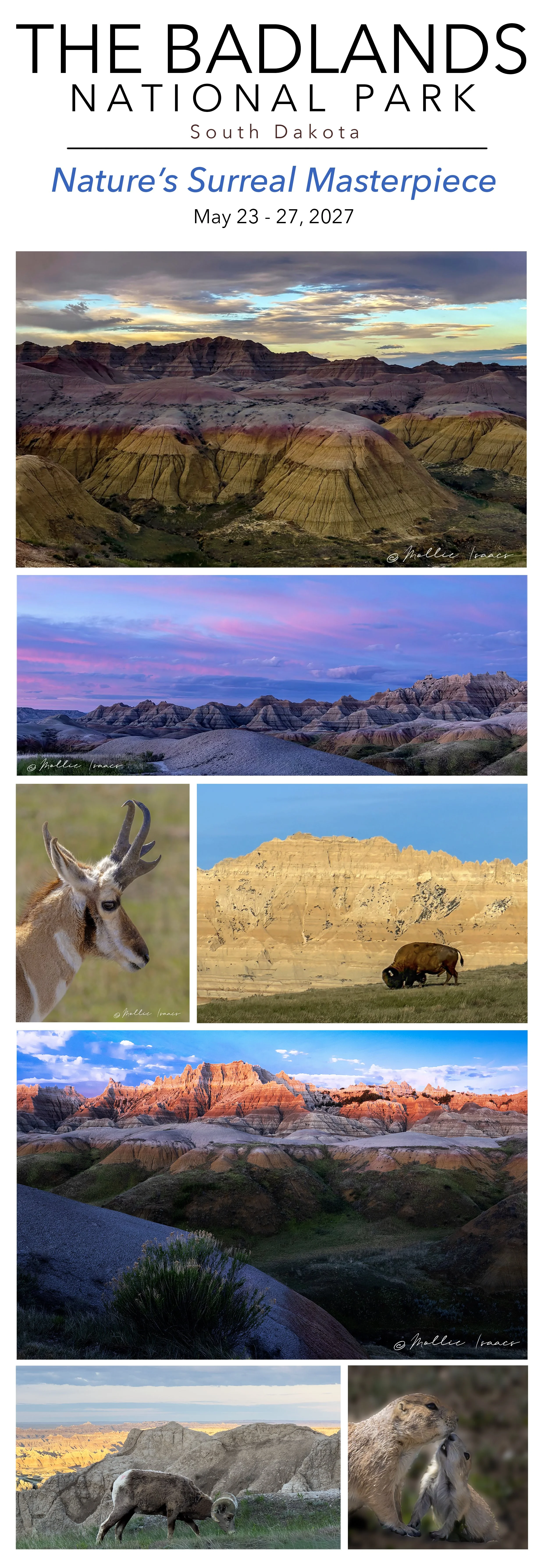Badlands ad 2027 copy.jpg