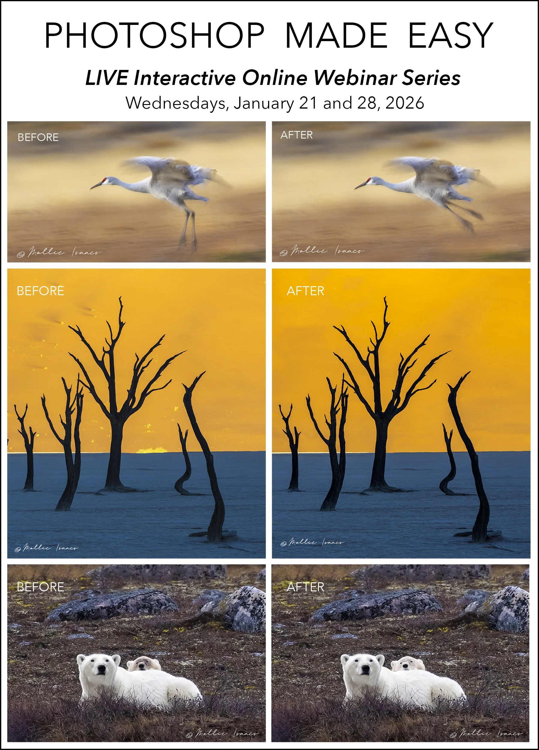 Photoshop Made Easy.jpg