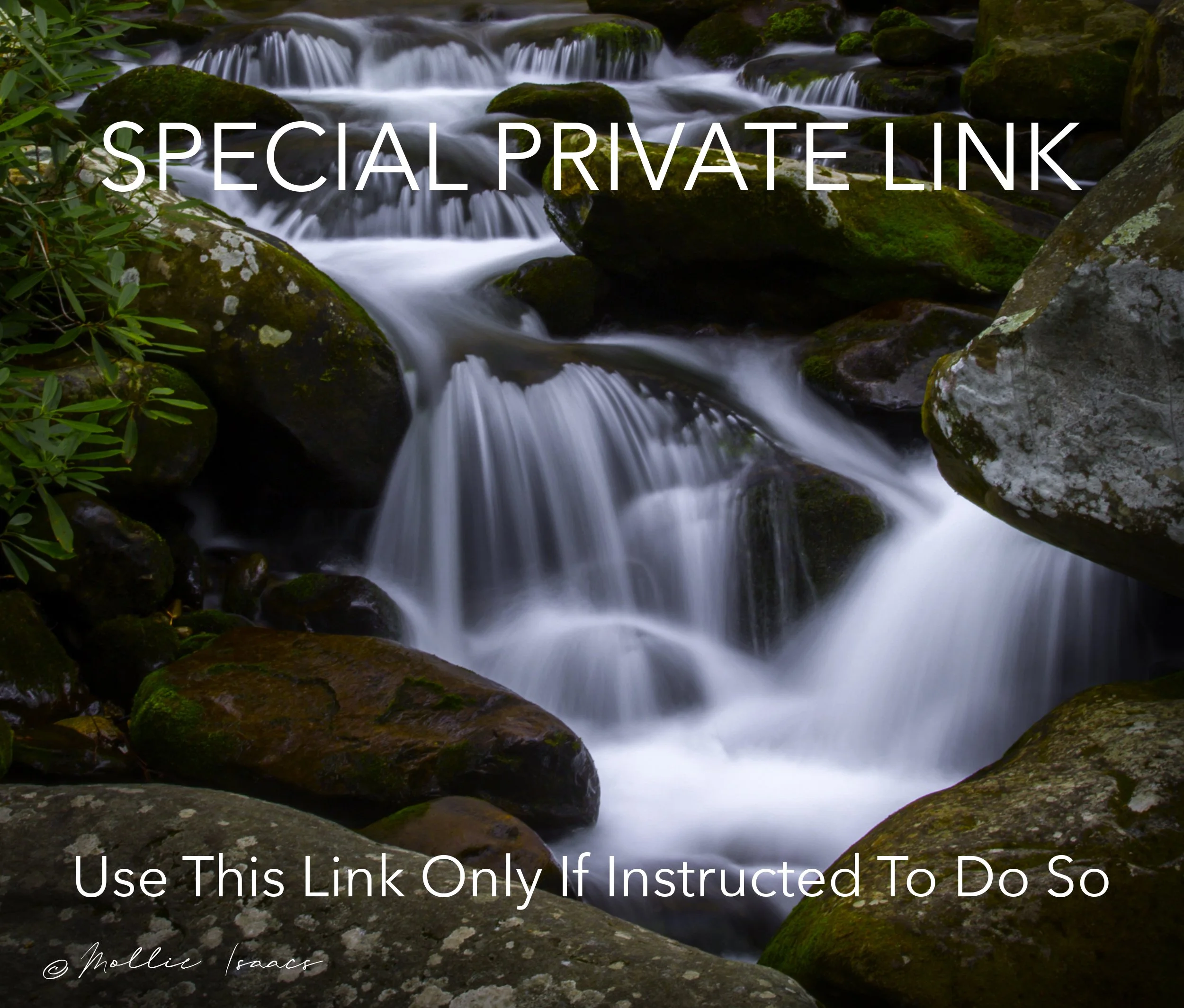 Smokies Private Link.jpg