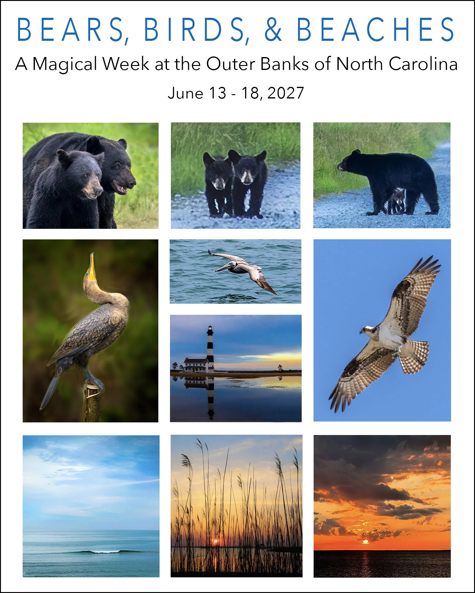 OBX 2027 ad.jpg