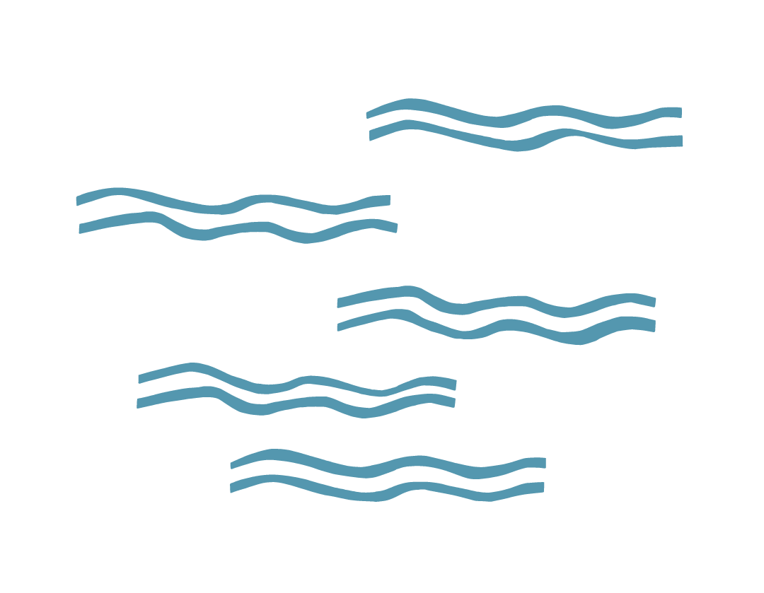 EFF_LogoWaves Mid.png