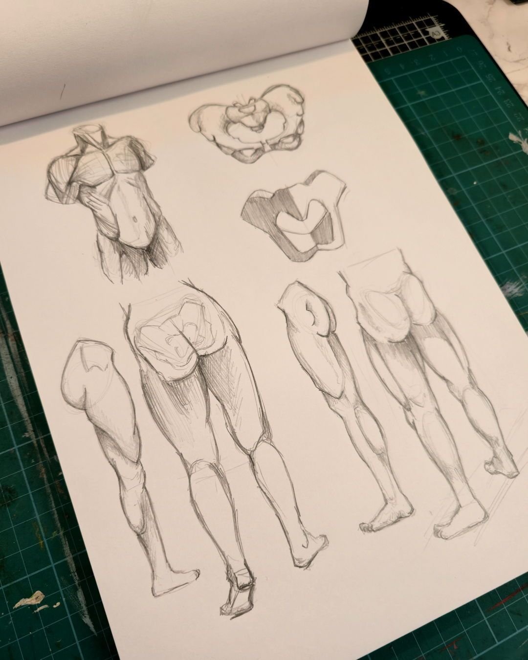 One of my main goals for 2026 is leveling up my anatomy understanding&mdash;something I know a lot of character artists can relate to! 🦴💪

Last year, I fell into the trap of neglecting my fundamentals. It really started to show when I found myself 