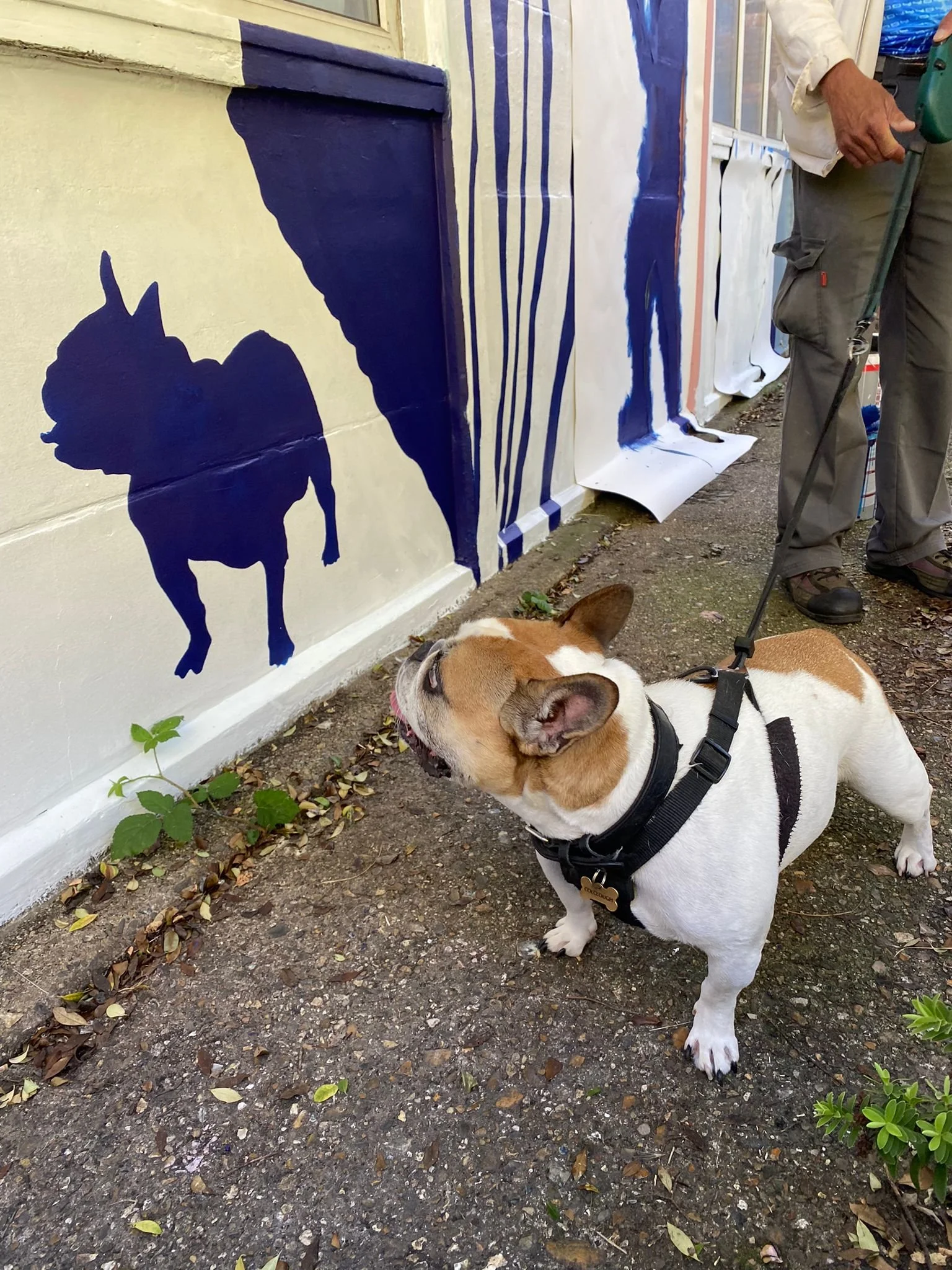 WhatsApp Image 2021-09-25 at 19.35.00.jpeg