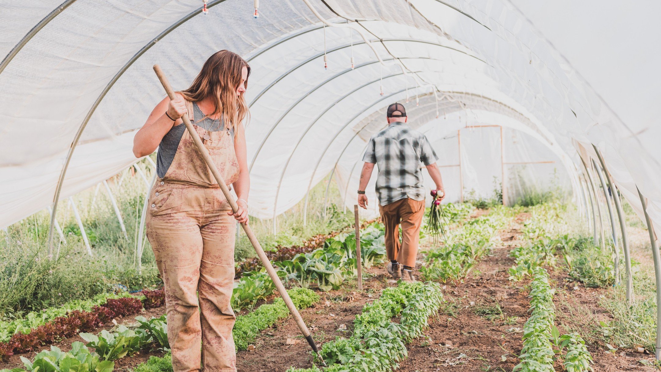 Desert Farming is HARD. But that&rsquo;s obvious right? Duh. We all need food, even in the desert. Every year though it seems to get harder and harder. 

This season no matter how hard we've worked it seems absolutely everything is going wrong. The c