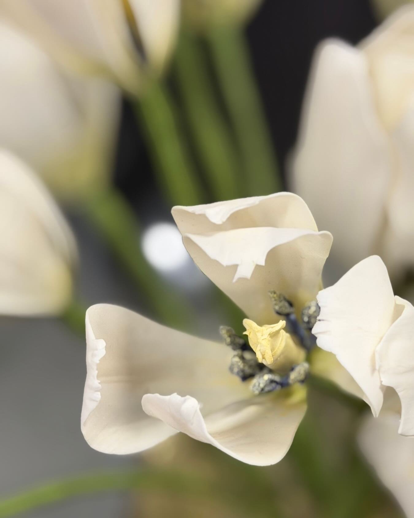 FR/EN 
Cr&eacute;er des fleurs comestibles est devenu une v&eacute;ritable passion pour moi.
Parce que chaque d&eacute;tail compte, j&rsquo;ai explor&eacute;, test&eacute; et affin&eacute;&hellip; encore et encore.
Jusqu&rsquo;&agrave; ce moment d&rs