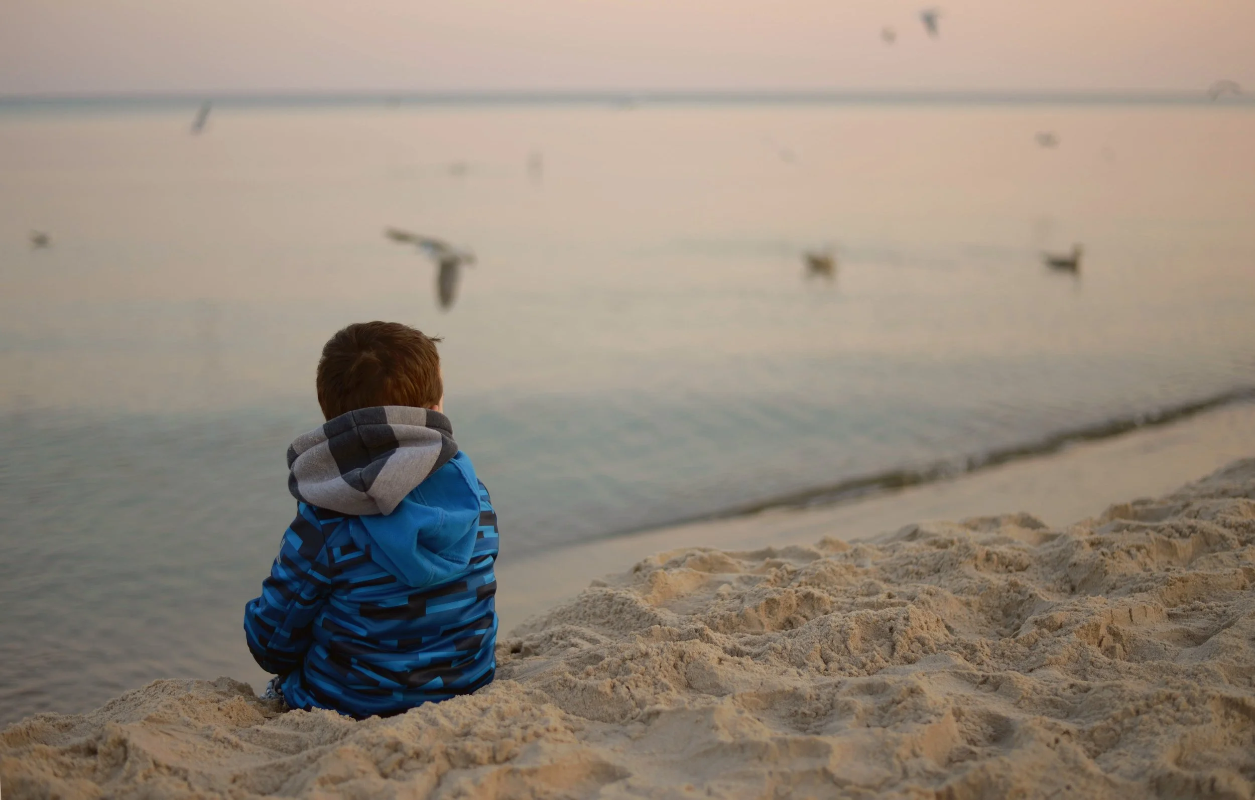 Niño sentado en una playa mirando al mar y las gaviotas (Javier Sánchez Gil, psicoterapeuta en Málaga)