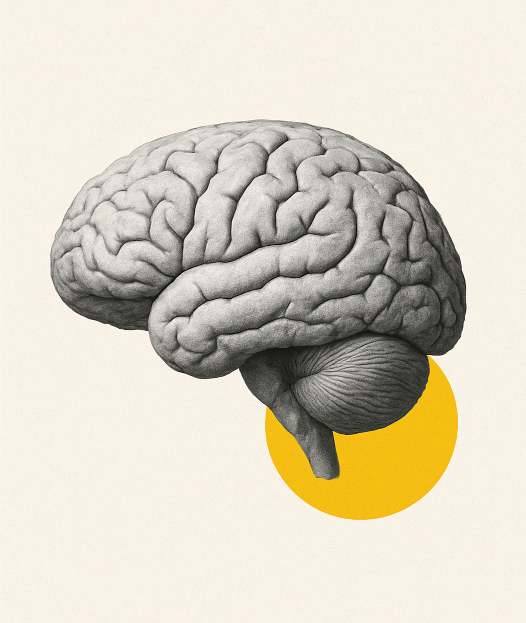 Representación visual del enfoque terapéutico centrado en la singularidad de cada persona