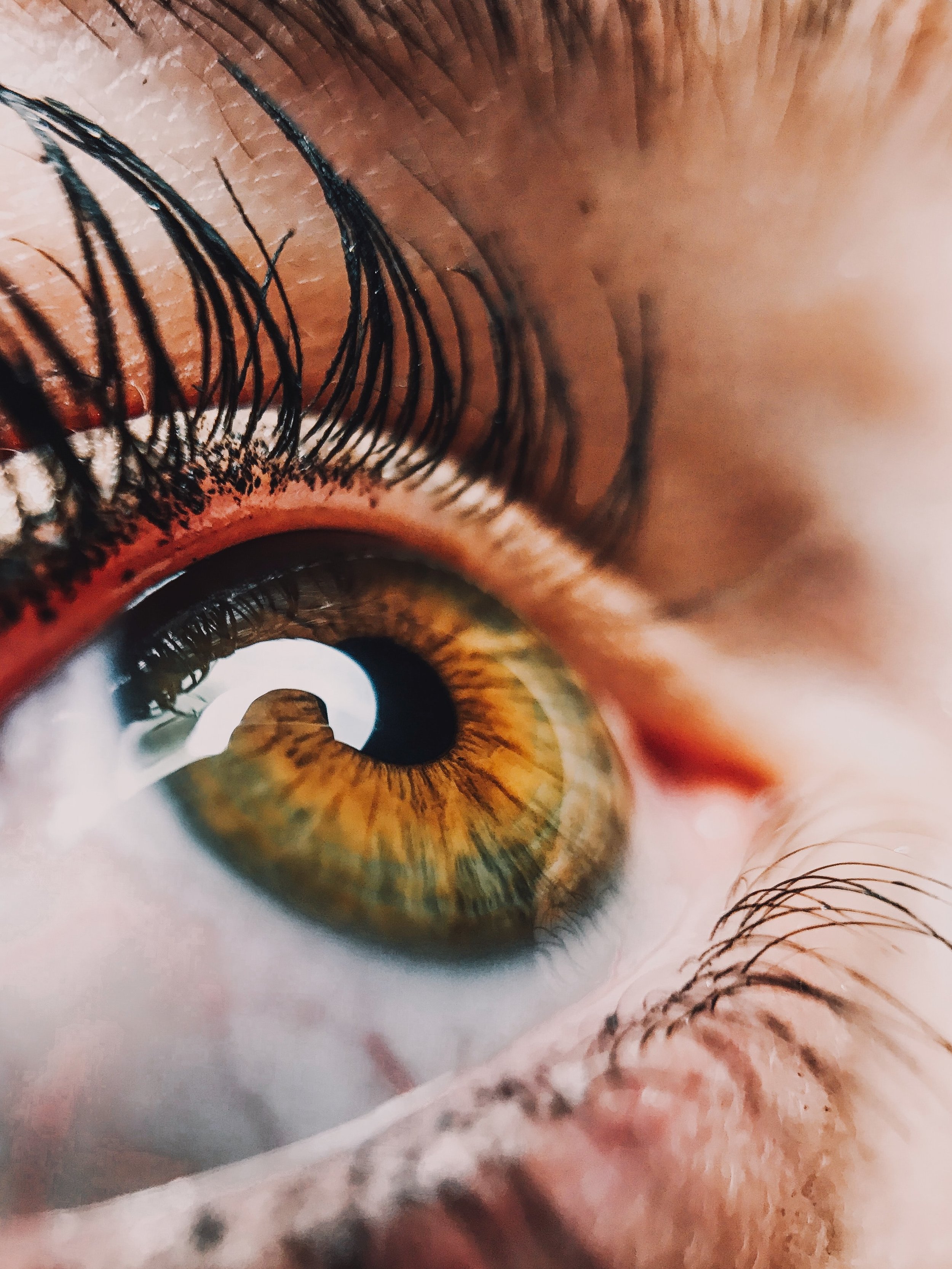 Grace Envisioned