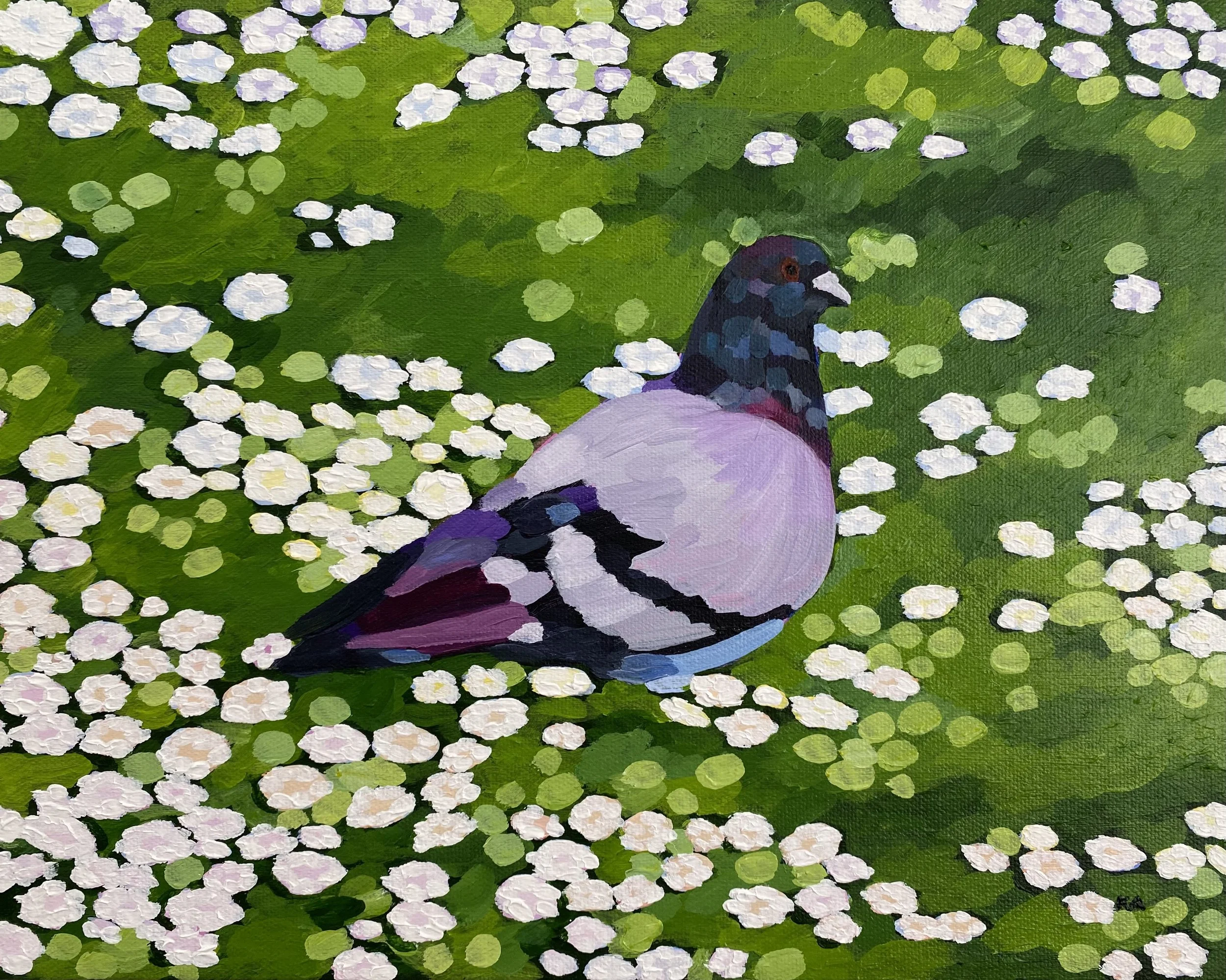 “Portuguese Pigeon” 11”x14” Acrylic on Canvas $300