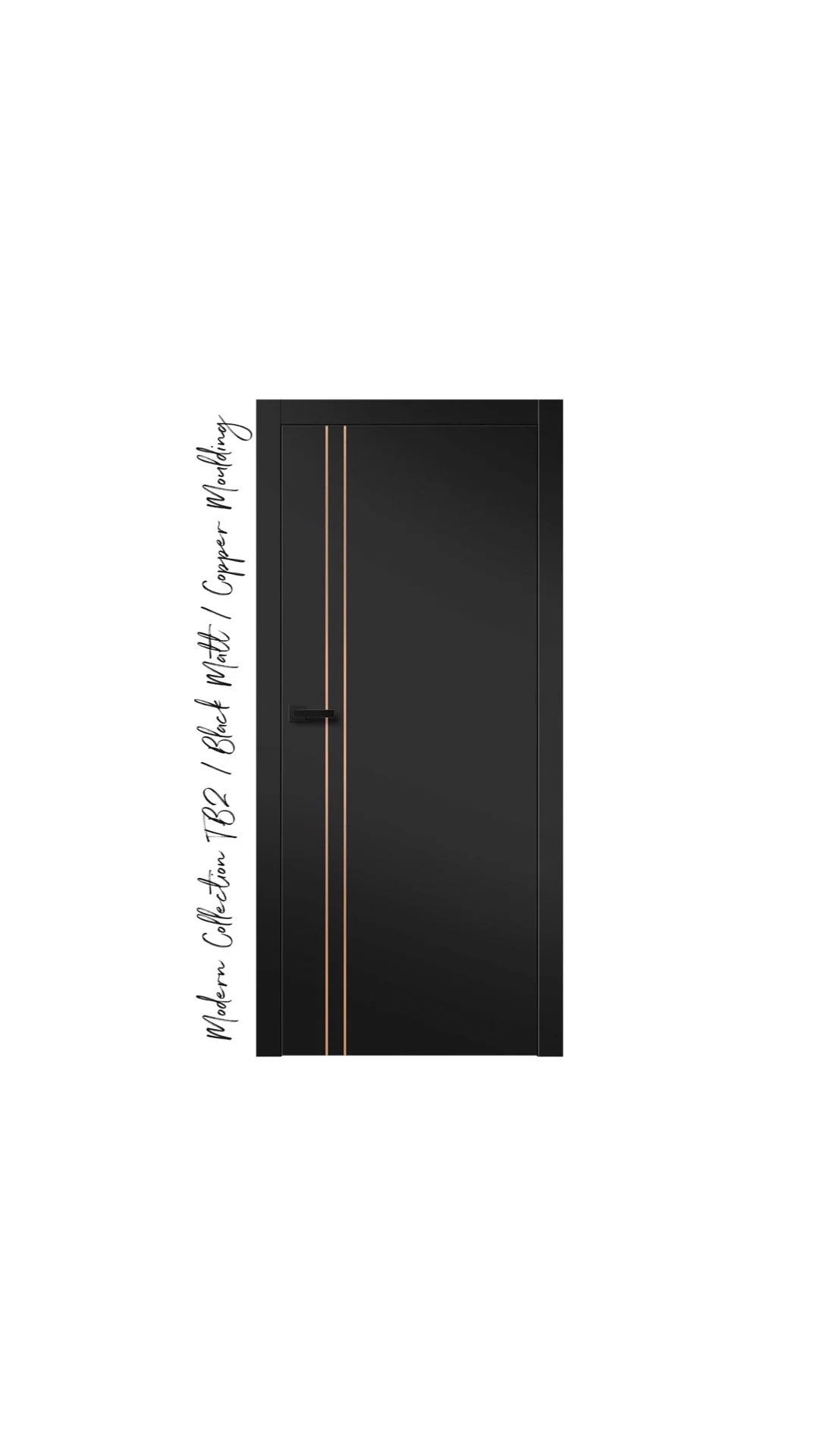 Design black door with aluminium lines..JPG