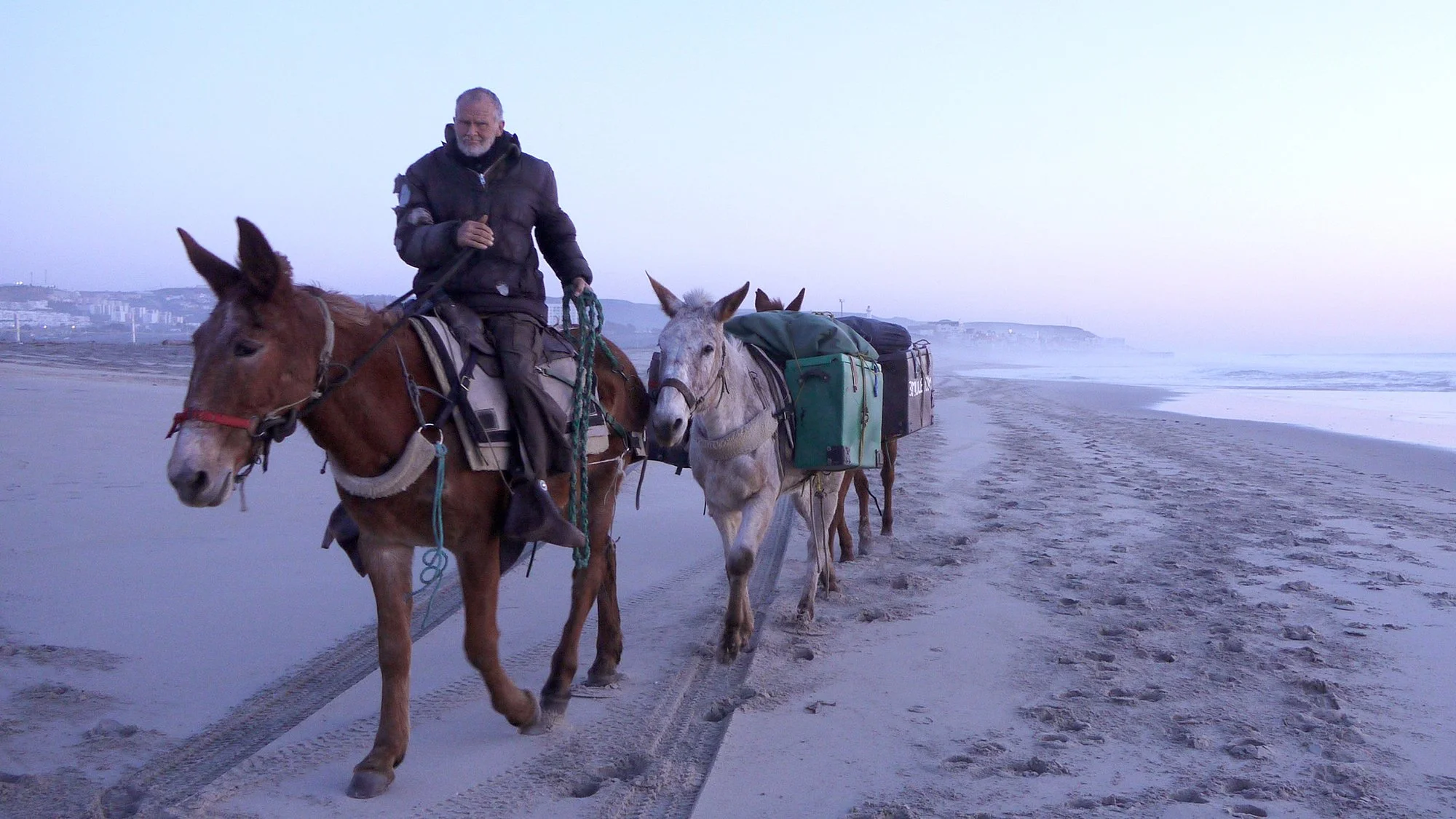 Filmmaker Spotlight: John McDonald and Nina Schwanse, Co-Directors of CALL ME MULE