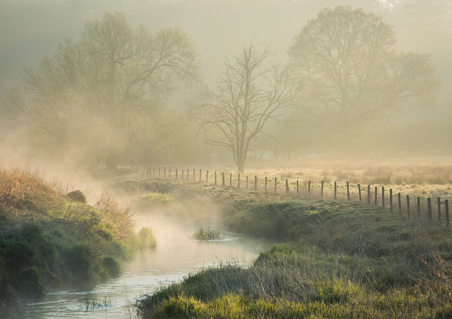 Morning-Glow.jpg