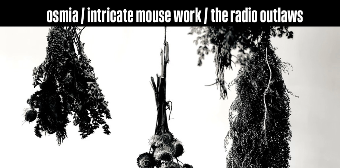 OSMIA - INTRICATE MOUSE WORK - THE RADIO OUTLAWS