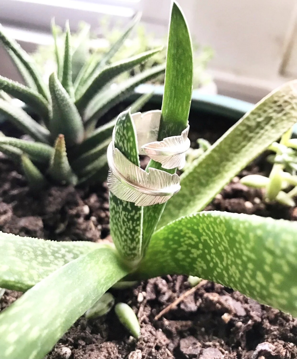 D3084F89-FD24-4B69-B4BC-5D2E92B2BB6D