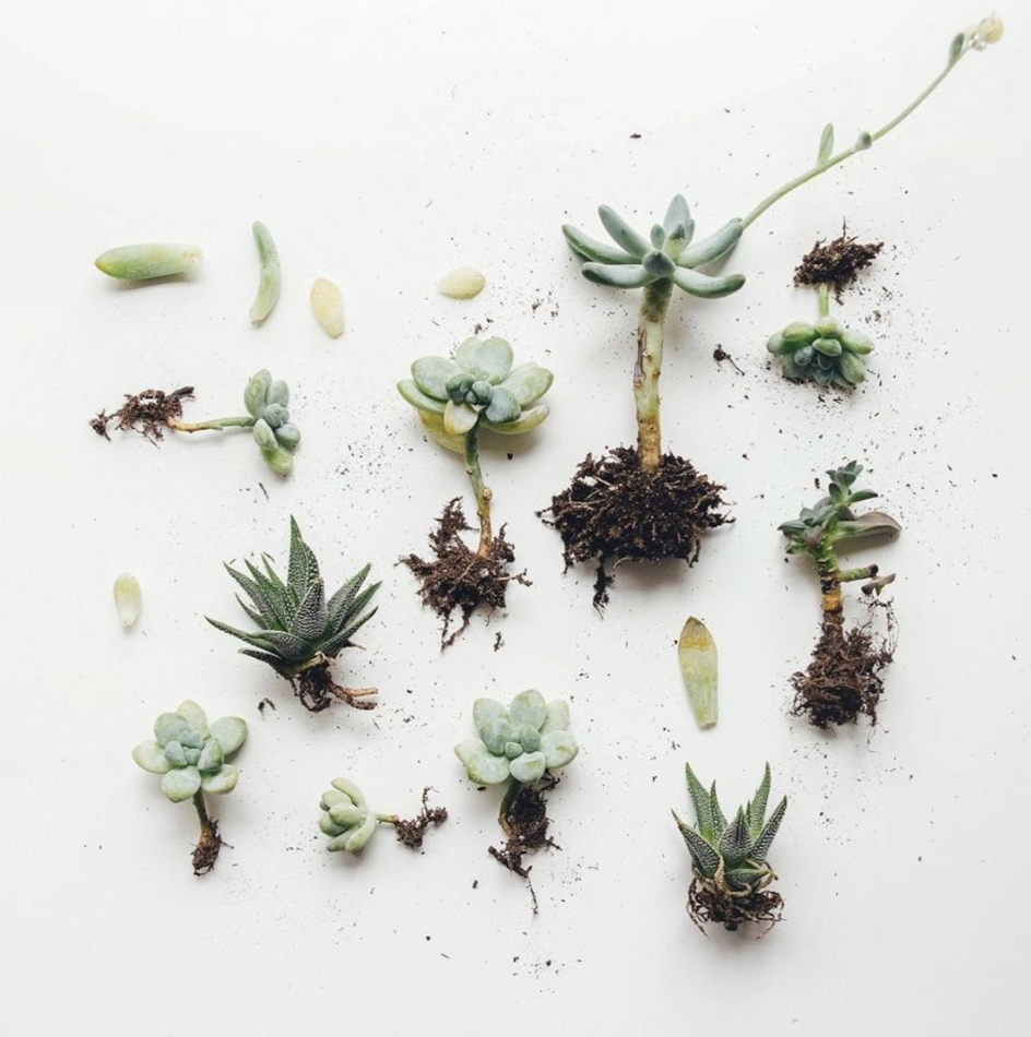 Pretty Caucasian woman at the beach smiling at camera.