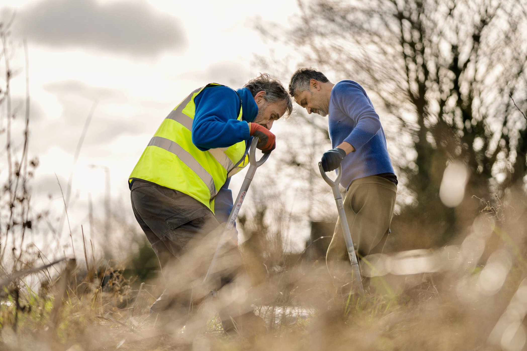 Planting Hedgerows