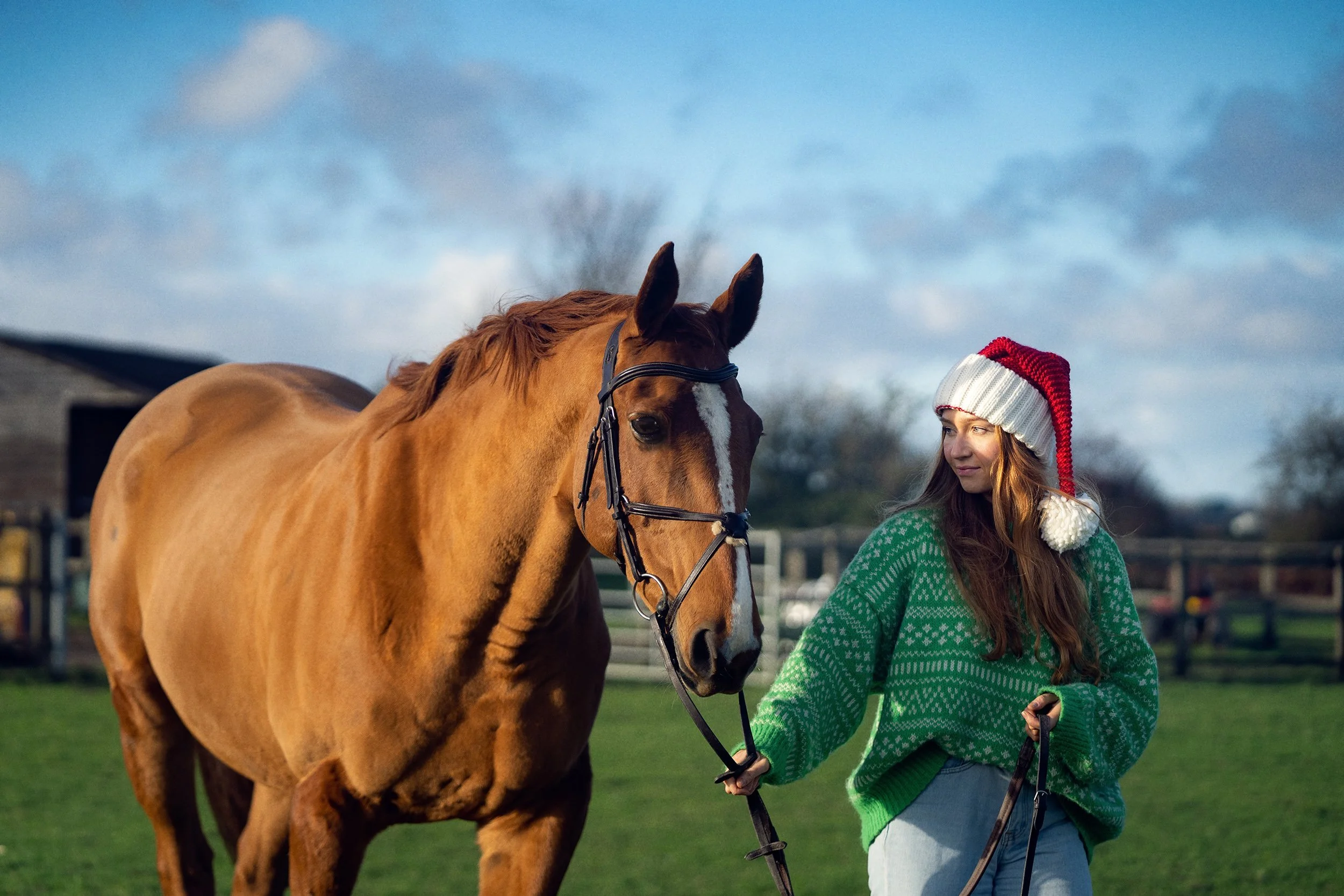 Receptional+Woodgreen+NAT+-+008+(Receptional+Woodgreen+Xmas+Cards+2022+(NAT)+(NR202845))+copy.jpg