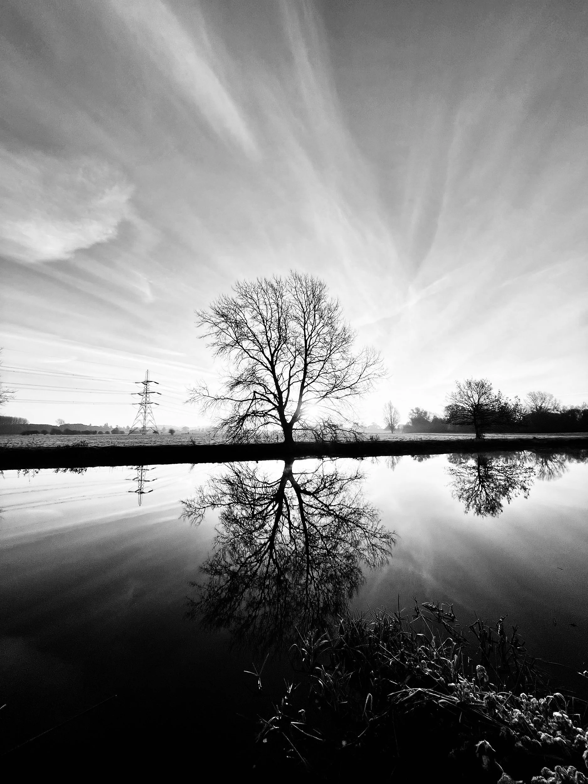 a+tree+reflecting+in+water+by+Nathaniel+Rosa+shot+on+iphone.jpg