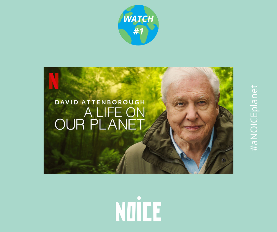 Positive impact solution to sustainability
