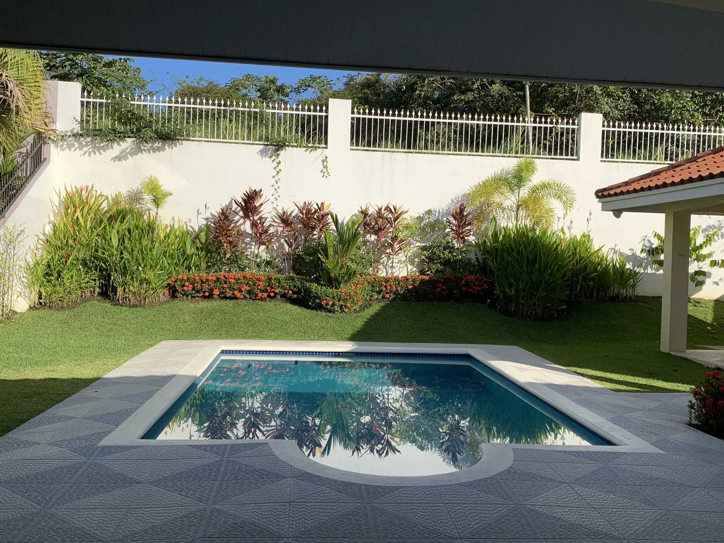 Feeling Optimistic, Ready for New Beginnings