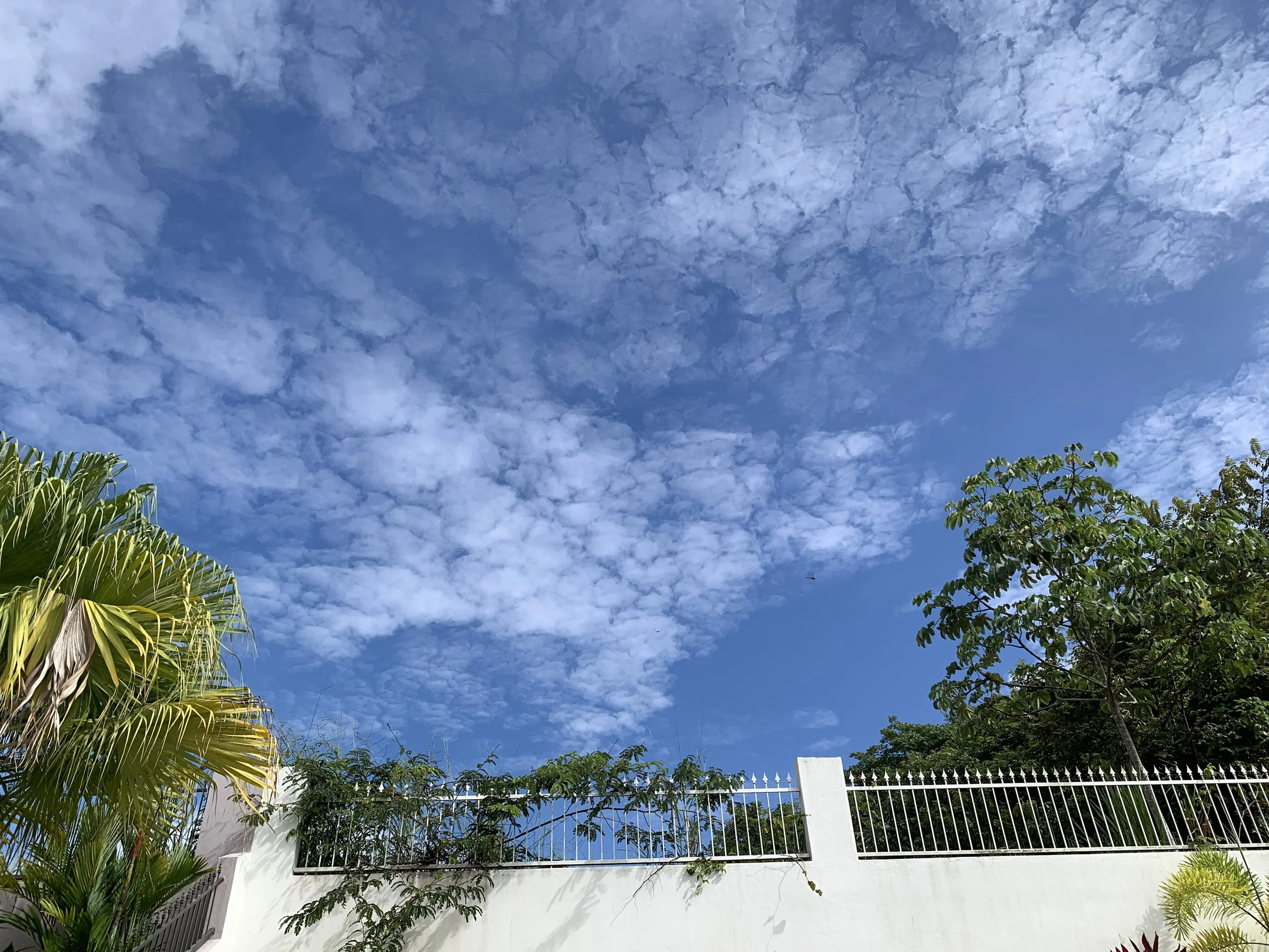 Feeling Gratitude Grow, In Conscious Flow 