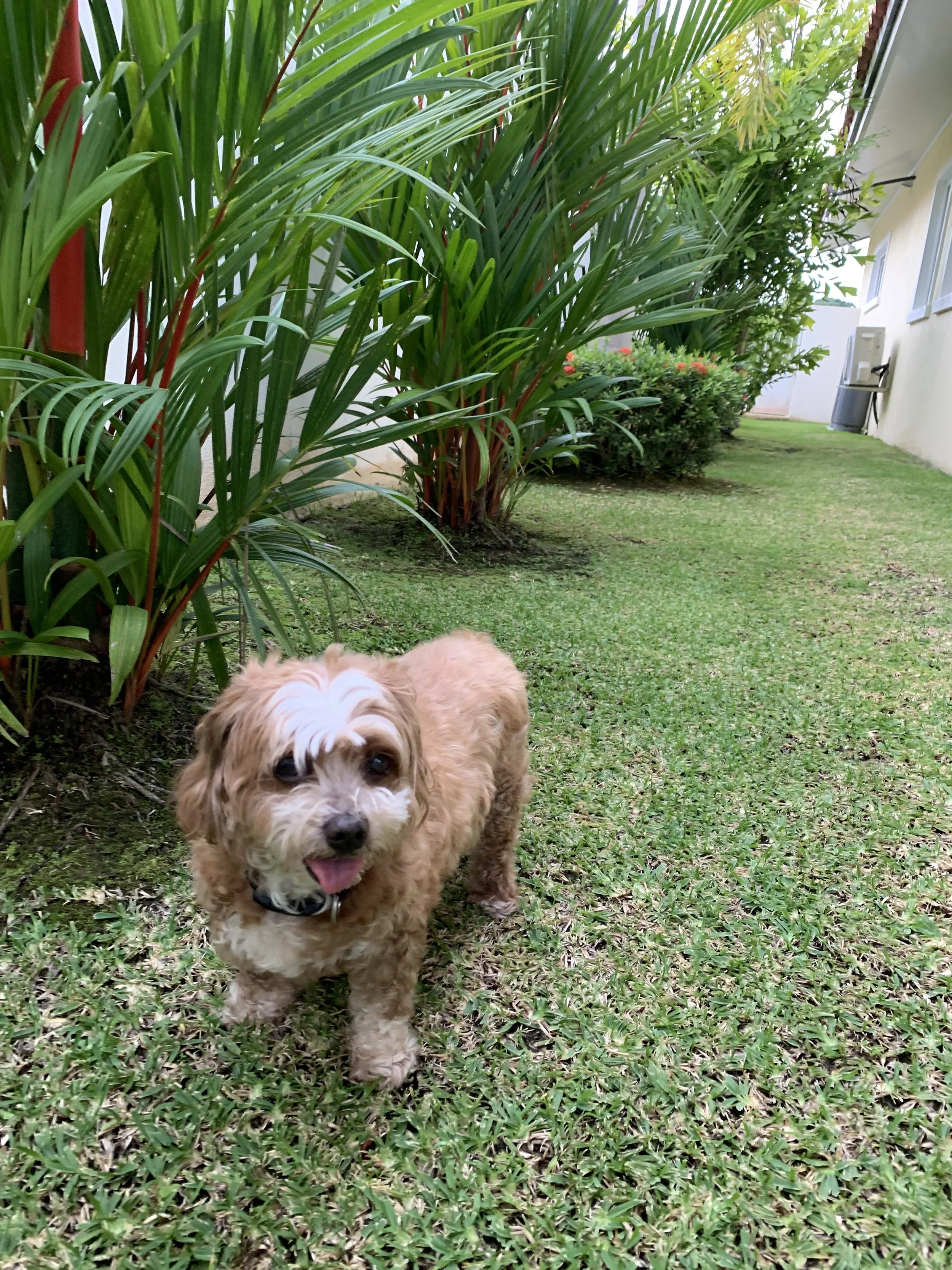 Feeling Challenged to Find my Resilience