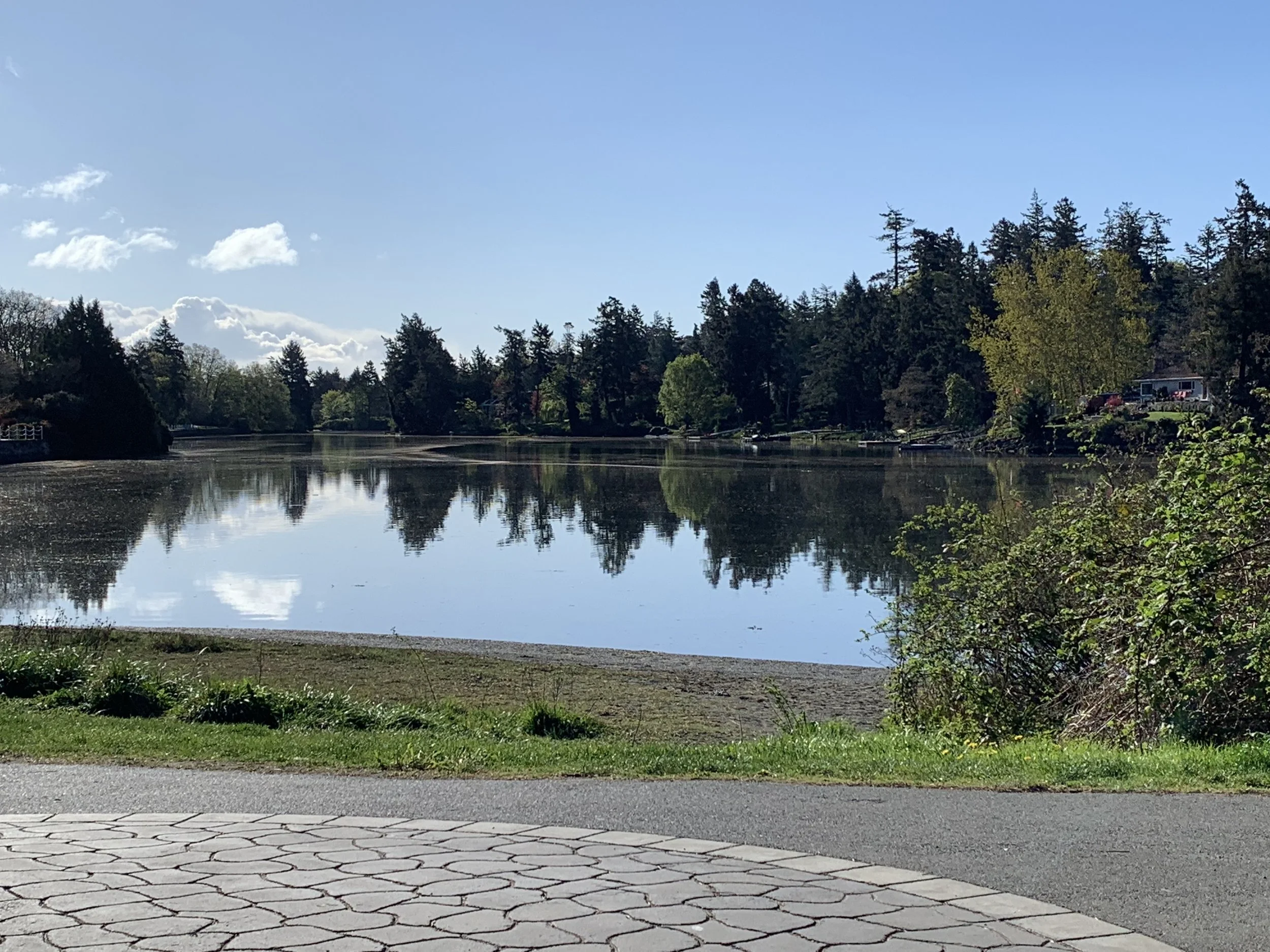 Trees, Dreams, and Miracles