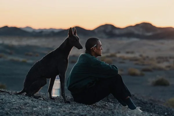 Ciclo O ANIMAL COMO O OUTRO [THE ANIMAL AS THE OTHER Cinema Screenings] (Curadoria de Alexandre Braga) “BLACK DOG” 2024 | M/14 | 1h50’ [CN] (Cão Preto - PT) De Guan Hu
