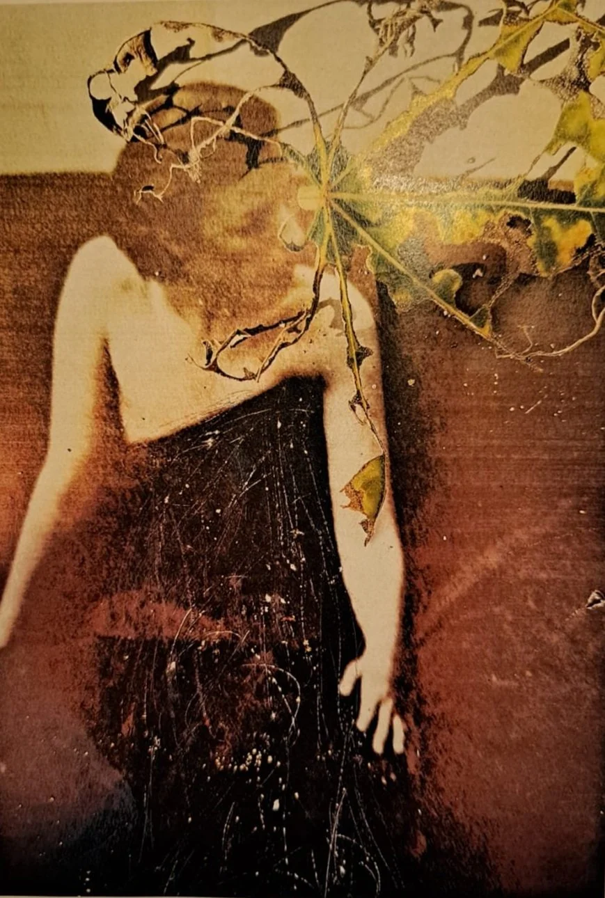 WhatsApp Image 2025-02-19 at 21.02.13 (1).jpg