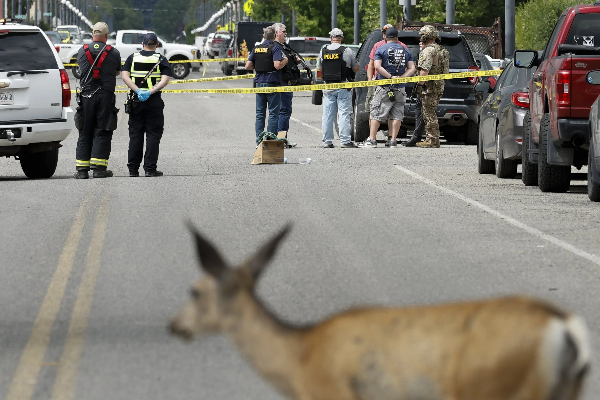  Anaconda law enforcement respond to reports of a shooting at the Owl Bar as a mule deer walks down 3rd St. on Friday, Aug. 1, 2025. 