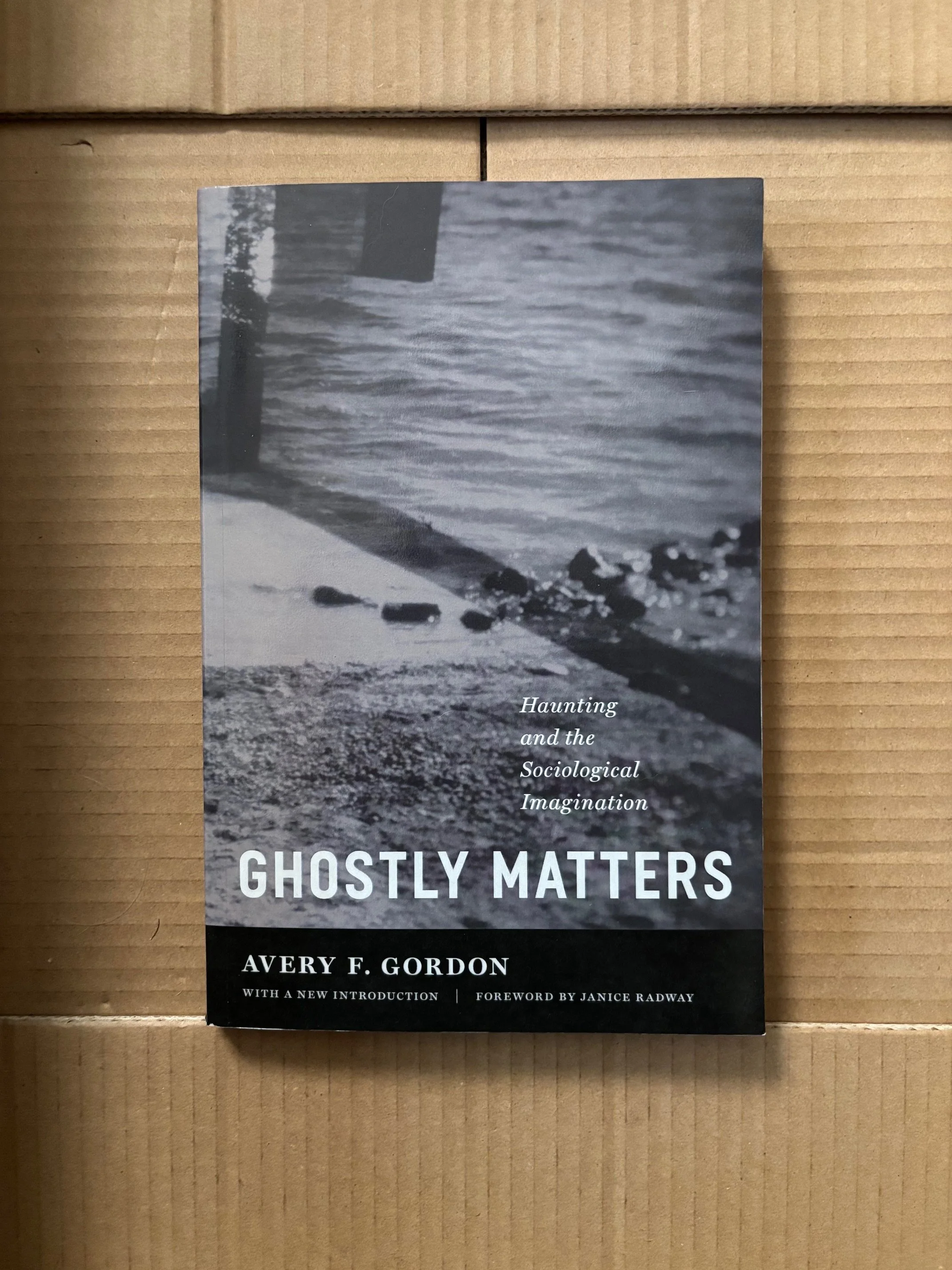 Ghostly Matters by Avery F. Gordon