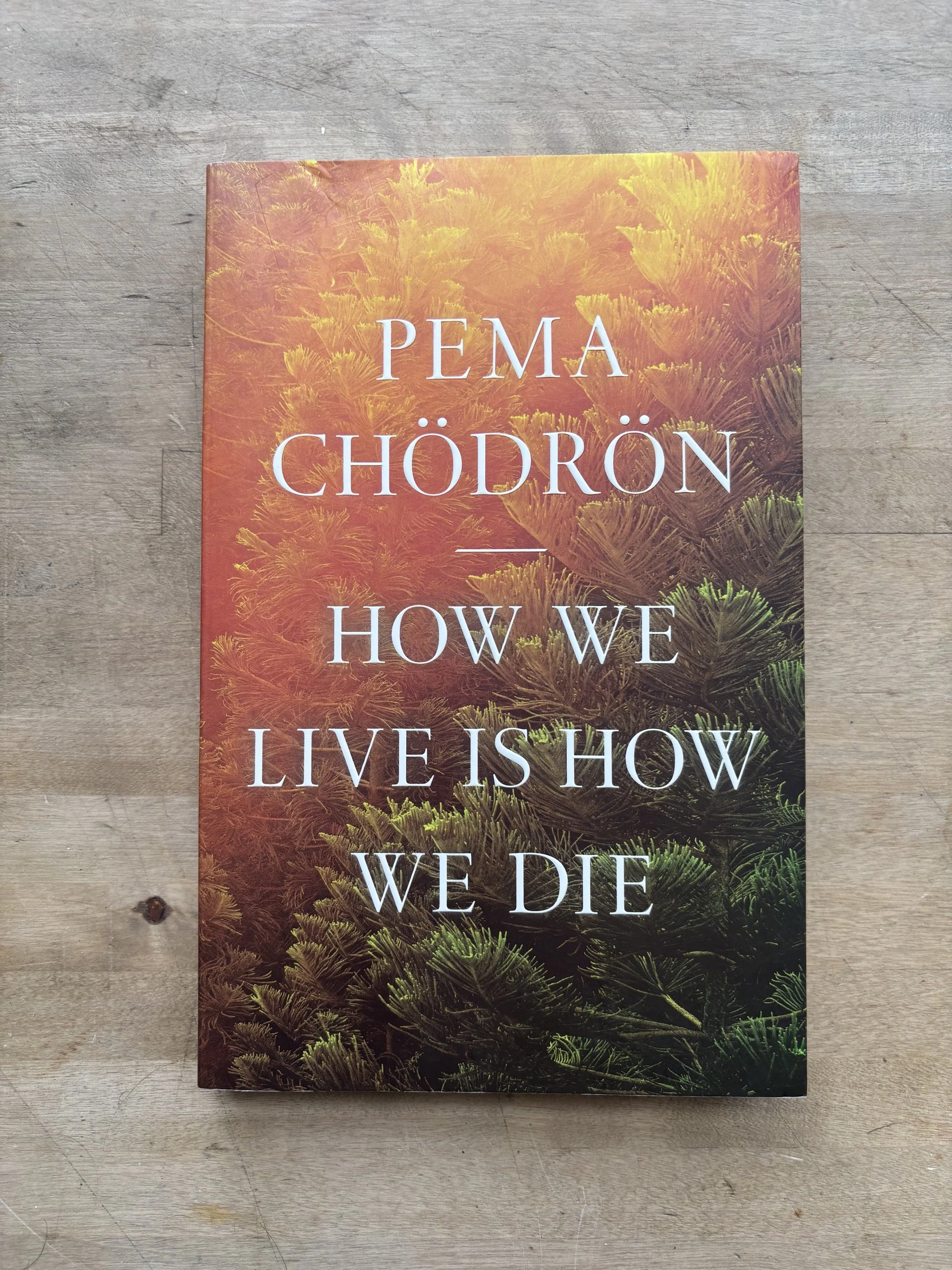 How We Live Is How We Die by Pema Chödrön